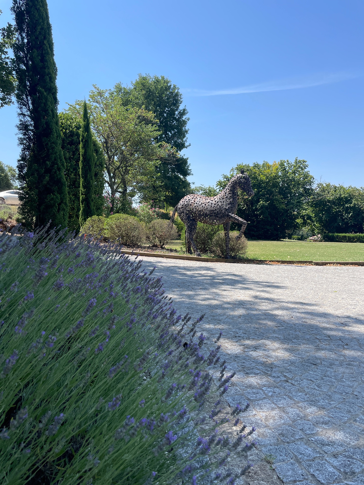 C’est au cœur du magnifique Domaine de Bonaveau que s’est tenu un mariage empreint de grâce et de délicatesse.
Sous le signe des fleurs, chaque détail évoquait la poésie et la légèreté : des compositions florales subtiles, des senteurs fraîches et naturelles, une palette douce, pensée avec soin.
L’élégance du lieu, l’harmonie des couleurs, et la sérénité de l’instant ont offert un cadre parfait pour cette journée inoubliable.
Un moment suspendu, intime et raffiné, à l’image des mariés.
Un grand merci à tous ceux qui ont contribué à faire éclore cette parenthèse florale d’exception.
