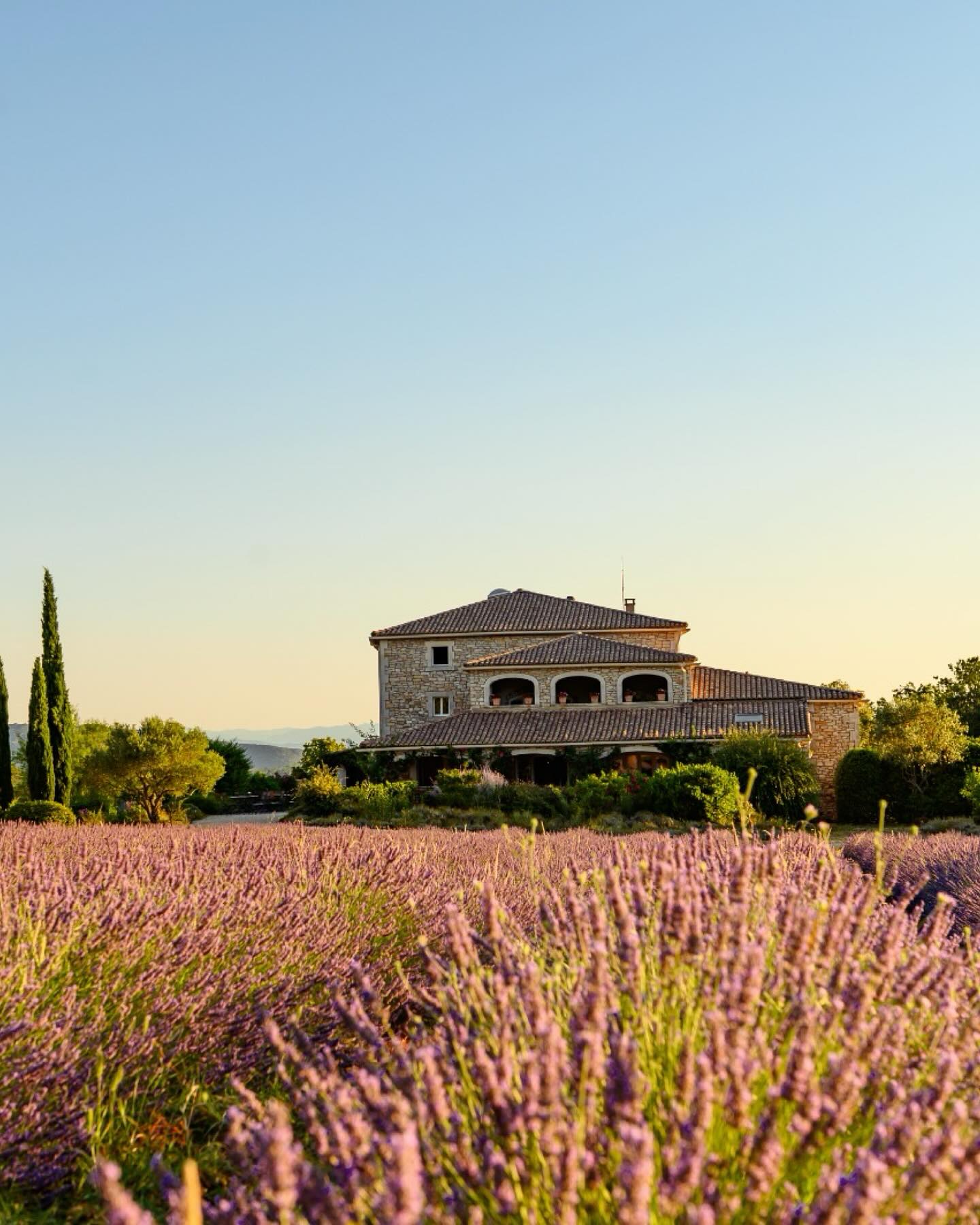 💜 Der Lavendel blüht – und wir mittendrin! 🚵♀️
Mitten durch lila Felder, die Luft voll Duft, das Summen der Bienen, der Blick weit über die Hügel der Ardèche... Biken im Frigoulet ist jetzt ein Traum💜