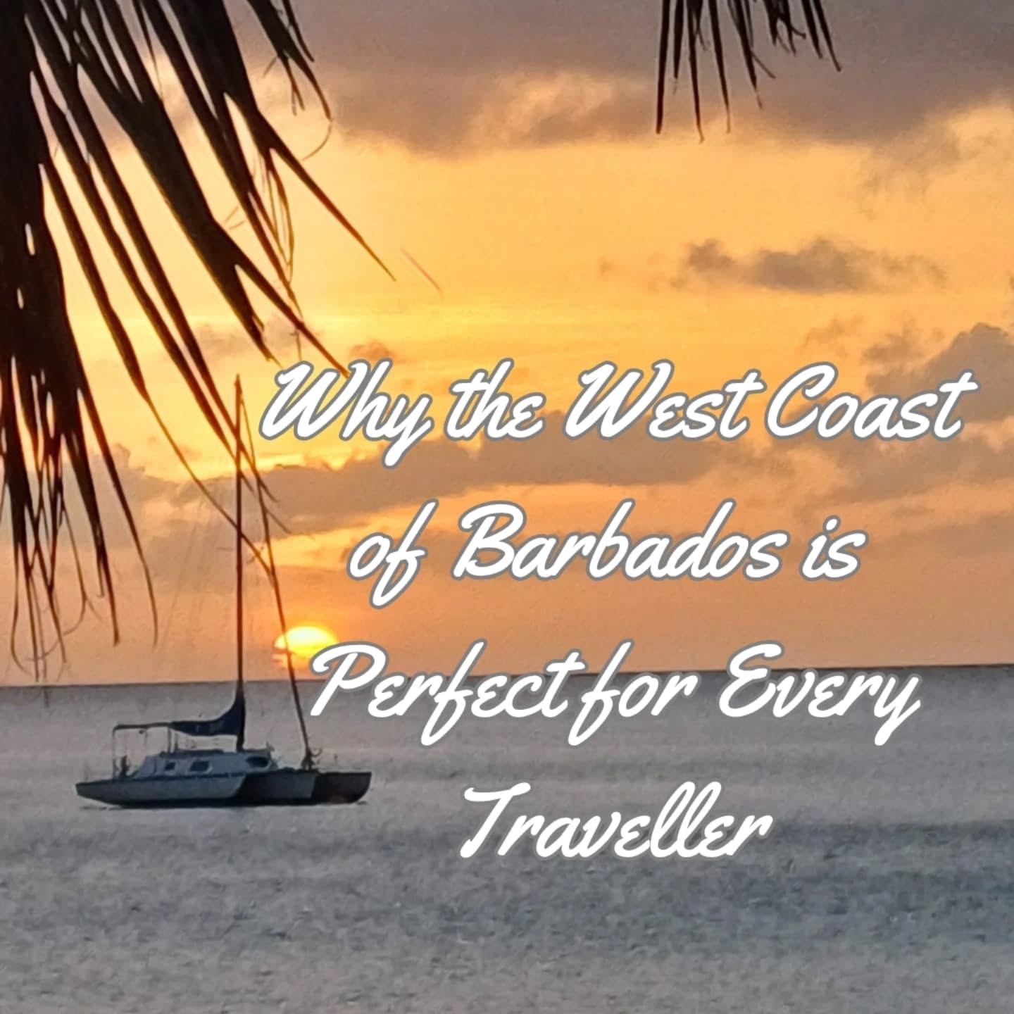 Why is the West Coast of Barbados perfect for every traveller? We asked our guests for their thoughts to go into our blog on our website. Here are just a few. Feel free to share yours!🌴
#BarbadosVacation #WestCoastBarbados #carizmavilla #barbadosforcouples #familyfriendlytravel #solotravelgoals #speightstown #visitbarbados