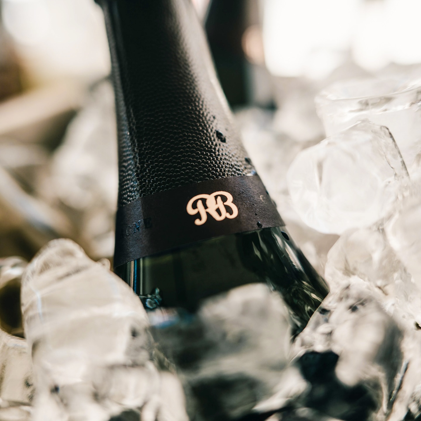 Pure elegance on ice. 🥂
#RichardBavion #ChampagneMoments #icechampagne #summerchampagne #BavionExperience