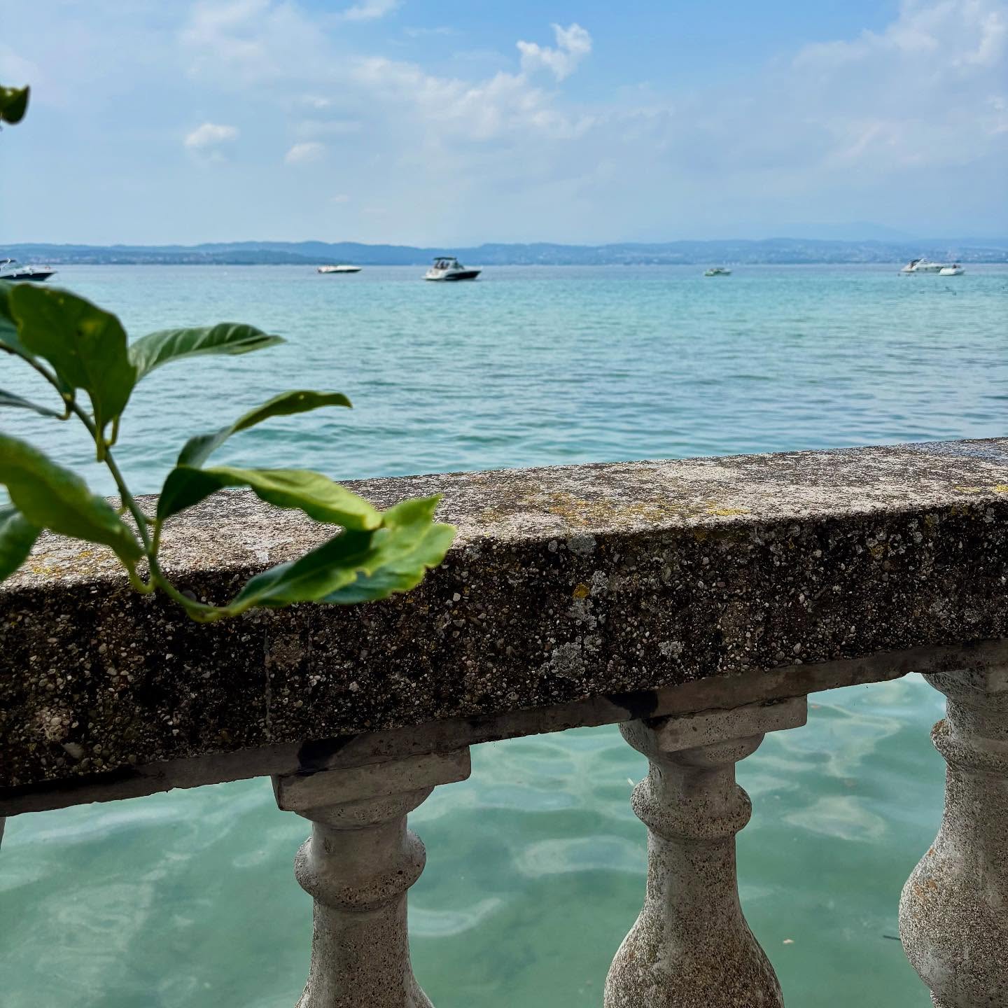 The Sunday lunch 🦦
#villapioppi #villapioppirestaurant #villapioppihotel #villapioppipizzeria #sirmione #gardalake