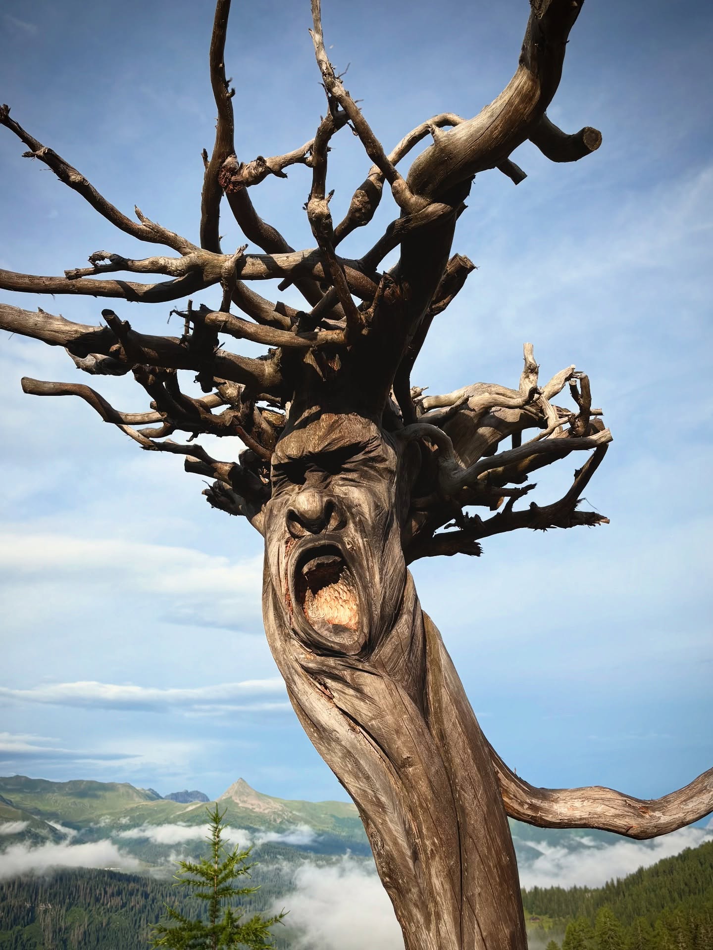 N E W
•
Adventure trail
•
Felsengeister
Spiriti delle rocce
Rocky spirits
•
#3zinnendolomites #rifugiorudihütte #dolomites #sexten #sesto