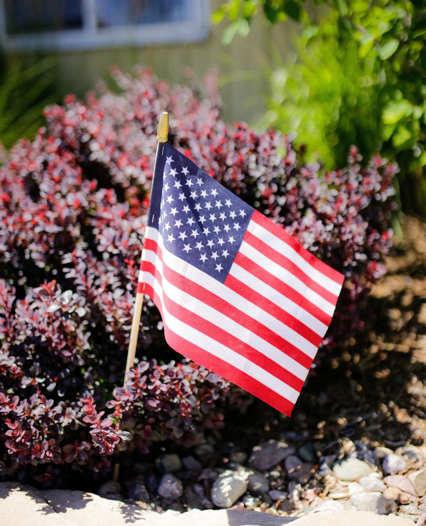 Happy 4th of July from all of us at Bath Landscape & Irrigation! We hope you have a safe and fun holiday weekend!
#fortcollins #lovelandcolorado #backyardoasis #coloradobackyard #backyardinspo #outdoorkitchen #landscapedesign #backyarddesign #landscape #landscaping #landscapeservices #landscapedesigners #outdoordesign #homeinspo #landscapearchitect
#outdoorlife #landscapingcompany #curbappeal #hometips
#outdoorfurniture #gardendesign #patio #landscapearchitecture #outdoorliving #exteriordesign #coloradorealestate #frontyard #exterior #gardeninspiration #hardscapedesign