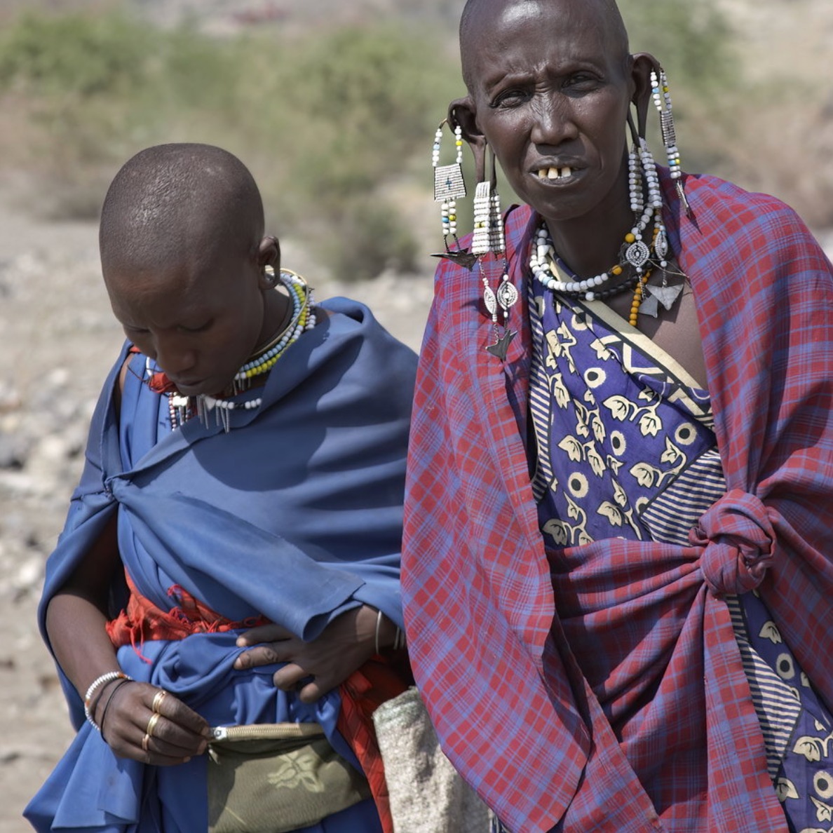 Monduli Juu Maasai tour experience is typically involves visiting a Maasai village, learning about their culture lifestyle, and potentially participating in activities like traditional dances, beadwork, visiting the healer( laiboni), village bicycle tour, Maasai Village quad bike Safari, Hike through Monduli rainforest and learn different species of trees, saturday red market, learn how to throw Maasai spears
and nature walks. These tours can be part of a longer safari or a dedicated day trip. We are number one Maasai experience Instagram choice.