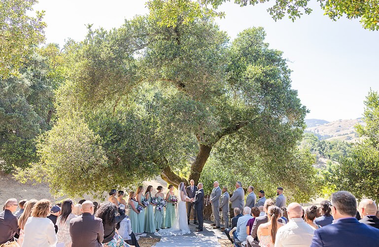 ✨ Heather & Jason ✨
June 20, 2025 – Mountain House Estate
⠀⠀⠀⠀⠀⠀⠀⠀⠀
Still not over this dip + kiss moment 😍🔥 and the way Jason looks at Heather like she hung the moon 🌙
⠀⠀⠀⠀⠀⠀⠀⠀⠀
Let me tell you, this crew was such a vibe — hyped, helpful, and full of love from the very first minute. The energy? Immaculate. The bouquets? Lavender dreams 💐 And this bride? DROP. DEAD. GORGEOUS.
⠀⠀⠀⠀⠀⠀⠀⠀⠀
Jason was the sweetest, most patient groom ever, and Heather — not only did she light up the aisle, she was a whole radiant beam of joy all day ✨
⠀⠀⠀⠀⠀⠀⠀⠀⠀
Swipe through for a whole lot of love, laughter, and lavender 💜
⠀⠀⠀⠀⠀⠀⠀⠀⠀
Dream Team:
📋 Coordination: @eventsbynicki
📸 Photography: @_lwebbphoto
🎥 Video: @jdandkfilms
🍽 Catering: @sonomacountycatering
🎶 DJ: @thatsthedj
🍰 Cake: @asweetaffairbakery
💄 Beauty: @iconicbeautypro + @morsalz
🏛 Venue: @mountainhouseestate
🚐 Shuttle: @beauwine
📦 Rentals: @brighteventrentals
⠀⠀⠀⠀⠀⠀⠀⠀⠀
#HeatherAndJason #MountainHouseEstate #EventsByNicki #WeddingDreamTeam #SonomaWedding #WeddingPartyGoals #ThatDipThough #NorCalWeddingPlanner #LavenderWedding #RealWeddingVibes #FunWeddingEnergy