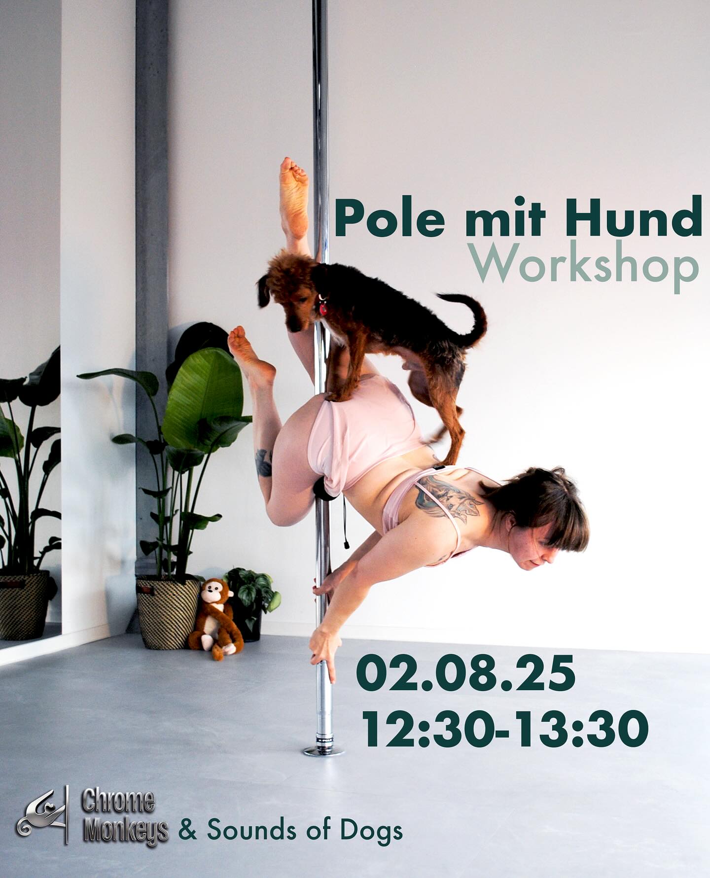 🐾✨ Poledance mit Hund! ✨🐾
02.08.2025 | 12:30–13:30 Uhr
Erlebt einen Workshop der besonderen Art, der euch und eure Fellnasen auf ganz neue Weise verbindet! 🐶💃
In Kooperation mit der Hundeschule Sounds of Dogs bieten wir euch ein einzigartiges Erlebnis:
Gemeinsam mit eurem vierbeinigen besten Freund bringt ihr eine spaßige Poledance-Choreografie auf die Pfoten! 🐾🔥
💡 Wichtig: Bitte bringt euren eigenen Hund mit!
Der Workshop richtet sich an alle, die Lust auf Bewegung, Bindung und ganz viel gute Laune haben!
📍 Nur am Samstag, 02.08.2025
📆 12:30–13:30 Uhr
Let’s dance – mit Pfoten-Effekt! Buchbar auf eversports 🐕💫 #dogpole #chromemonkeys #poledance #poleworkshop #polewithdog #dortmund #dance #workshop #polepassion #dog