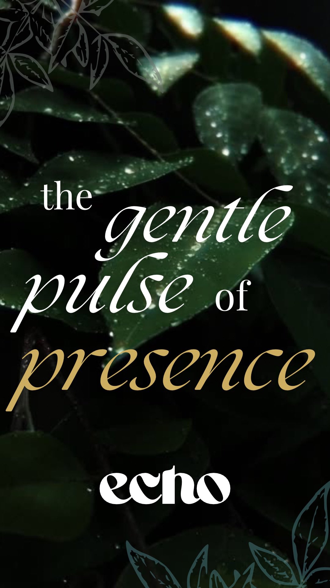 The Chamber has opened & we have a beautiful gathering of gorgeous souls arriving to weave our luminous field of consciousness:
Cultivating presence & creative power in the softest way, activating direct connection to source through embodied listening.
This is your invitation to step into the quiet magic of ECHO ~ a space to soften, deepen and attune to the pulse of your own becoming.
For all of July, take 1/2 OFF all memberships — a gentle invite for you to join us and drop into the resonance field of cocreation.
✨ Come as you are
✨ Bring your yearnings, brilliance & tender
✨ Your space of true belonging
✨ Choose your path. Feel the shift
✨ Chamber code: ECHOSOL
#echo #somatichealing #nervoussystemsupport #coherence #energyfieldwork #slowsacred #healingincommunity
Empowered, clear embodiment in a safe space of belonging ✨