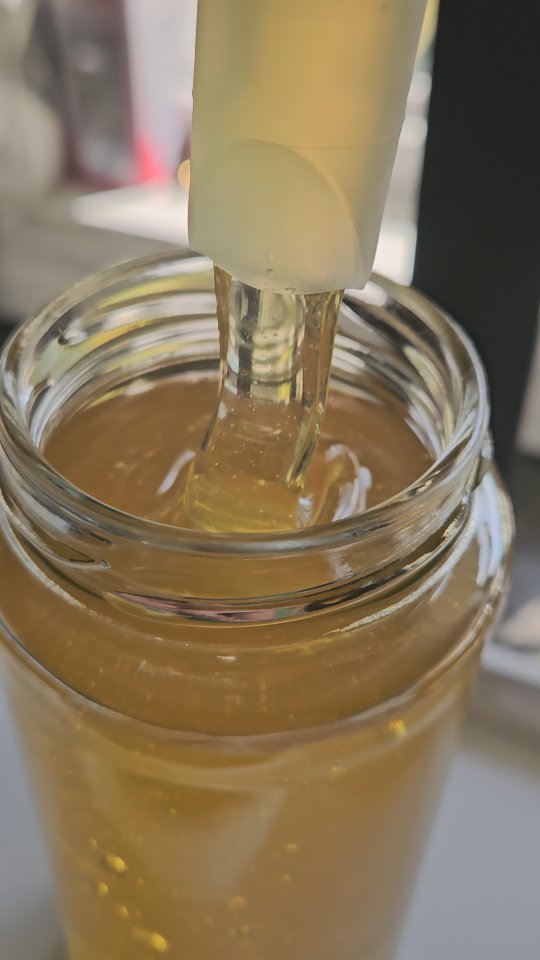 Time to bottle our spring honey harvest 🐝 🐝 🐝
#springflow #springbees #springflowerhoney #LocalHoney #ontariohoney #beekeepinglife♥️ #beehive #PureHoney #WoodlandBees