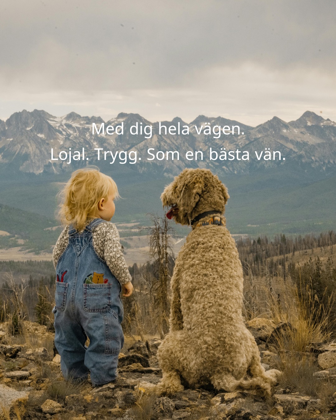 Att hyra ut sitt hem ska kÀnnas tryggt.
DĂ€rför finns vi pĂ„ Passion for Homes â som en lojal partner vid din sida, hela vĂ€gen.
Vi hjÀlper dig hyra ut sÀkert i Stockholm med över 15 Ärs erfarenhet.
FrĂ„n urval av hyresgĂ€st till kontrakt och trygg hantering â vi finns dĂ€r.
SÄ att du kan fokusera pÄ det som verkligen betyder nÄgot.
⚠Lojalt. Tryggt. Som en bÀsta vÀn.
đ© Kontakta oss pĂ„ info@passionforhomes.se
#PassionForHomes #HyraUtStockholm #TryggUthyrning
#HyresvÀrdStockholm #Fastighetsuthyrning #HyraUtbostad
#SÀkerUthyrning #UthyrningMedHjÀrta #Andrahandsuthyrning
#DigitalUthyrning #StockholmRental #Bostadsuthyrning