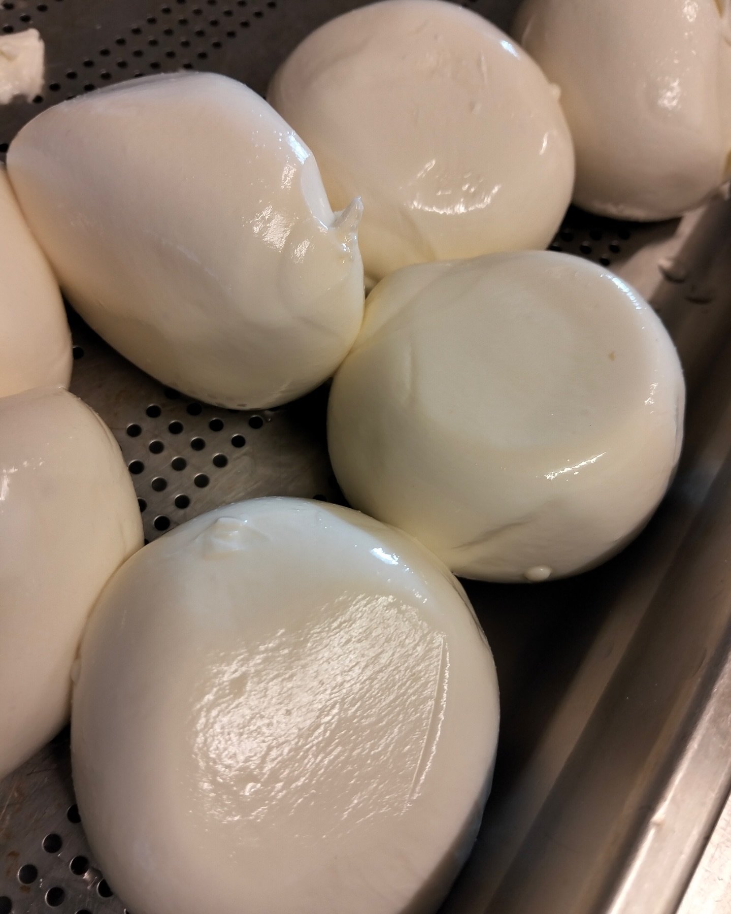 ✨ Pure perfection, straight from Campania 🇮🇹
This is our DOP Buffalo Mozzarella – creamy, delicate, and full of flavor. We use it fresh every day on our pizzas, in our sandwiches, and anywhere we want to add that unmistakable touch of authenticity. Taste the difference at A Sentimento.
🧀🍕🥪
#ASentimento #MozzarellaDiBufala #DOPCheese #AuthenticItalian #NeapolitanPizza #ItalianSandwiches #MadeInItaly #CheeseLovers #FreshMozzarella