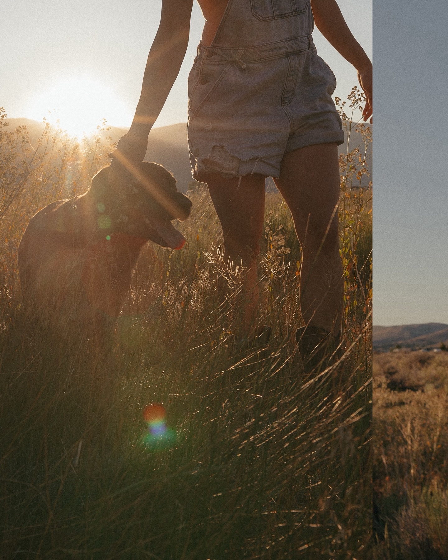 chasing the desert sun thru the sage and sand.
deeply honored to document these moments of life…
so beautiful and fleeting.
the ultimate gift to see and be seen.