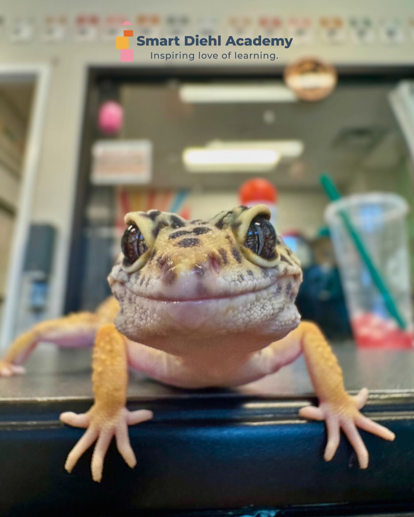 “I’ve got my spot. Do you?” 🦎✨
Hi! Don’t forget to register your small humans for fall programs at Smart Diehl Academy—limited spots left!
Smartdiehl.com
