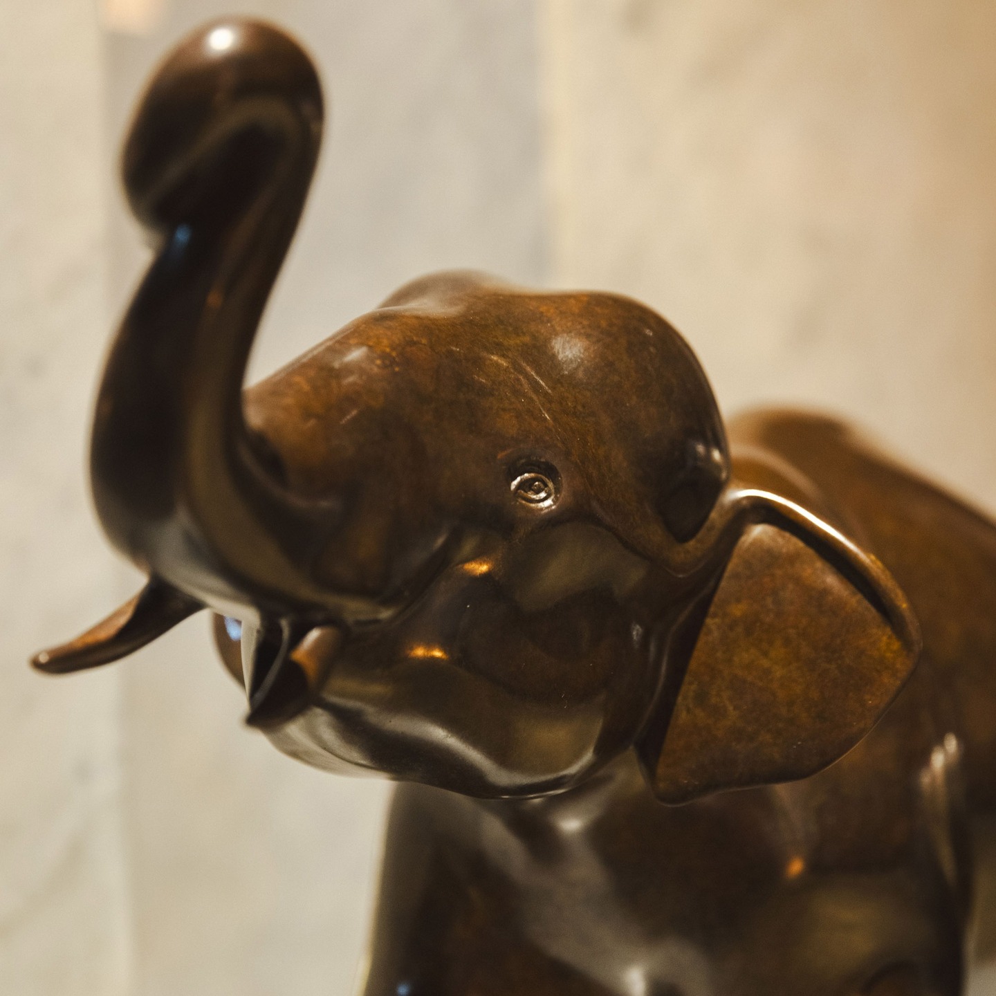 Michel BASSOMPIERRE vous fait découvrir son univers, encore peu connu du grand public.
On parle souvent de ses ours, tendres et doux, ou de la puissance de ses gorilles.
Mais l’artiste a aussi sculpté l’éléphant « La Charge », dans lequel on retrouve son style unique.
📍 Rendez-vous mercredi pour découvrir un autre animal peu connu de l’Arche de Michel BASSOMPIERRE.
#michelbassompierre #sculptureelephant #lamamounia