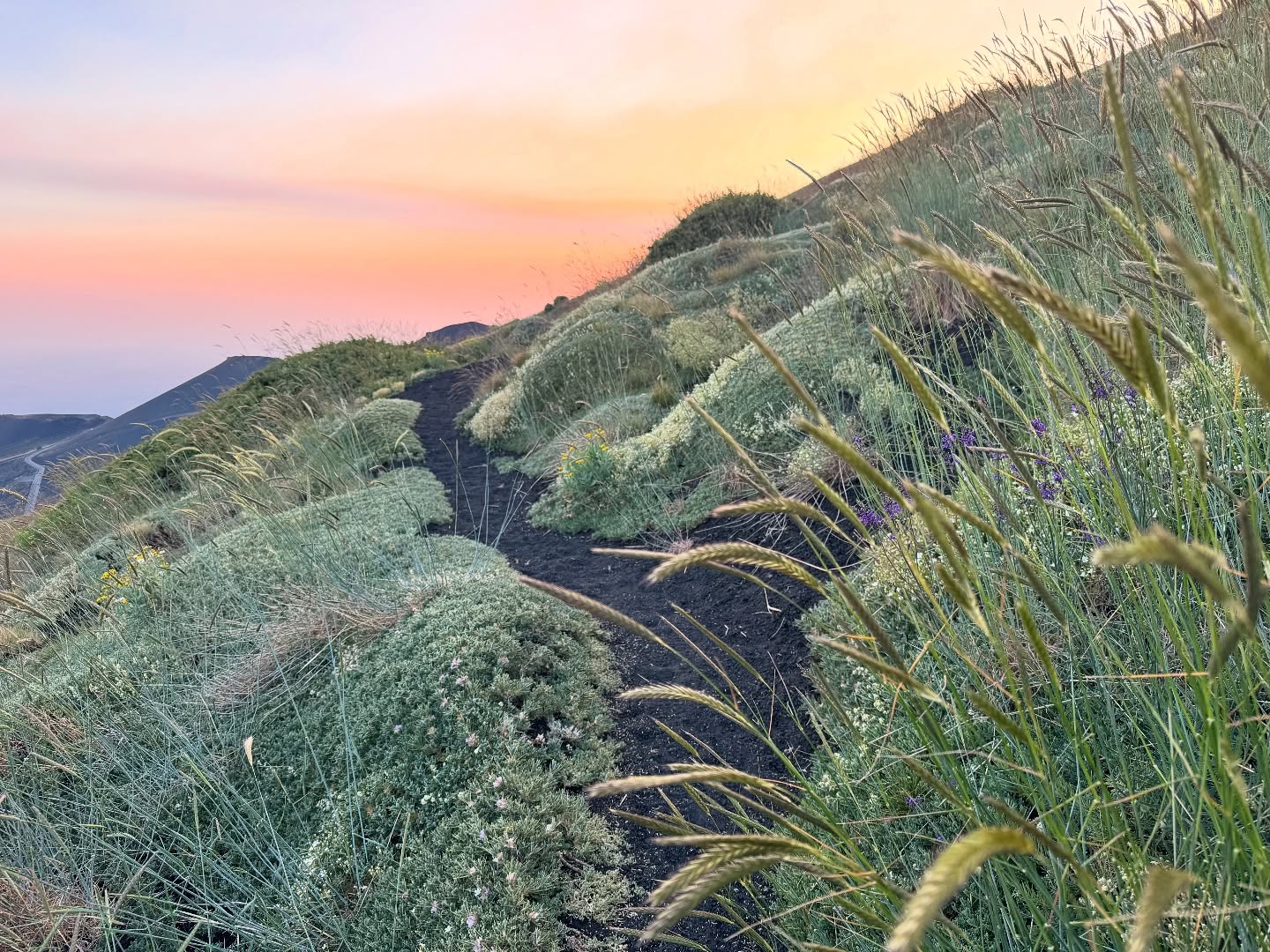 #Etna Trekking Plus Sunset • #etnative #sicily #volcanoes #sicilia #turismodiqualità
👉Info/Prenota
🌍https://www.etnative.com/etna-trekking
☎️ +393780861560
Ⓜ️ etnativo@yahoo.it