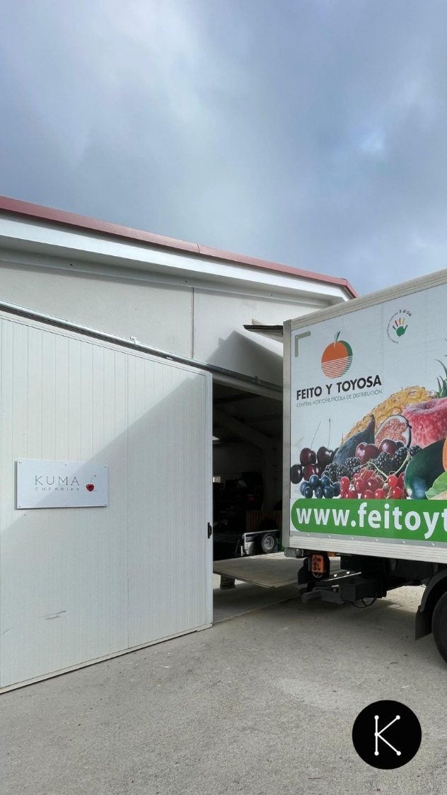🚛 Comienza el viaje de la cereza asturiana 🍒
Gracias a @feitoytoyosa, los tres primeros palets de cerezas de @kuma_cherries han salido esta mañana de la plantación, de camino a las fruterías de toda Asturias.
Gracias por apoyarnos.
Esto no ha hecho más que empezar.
#haciendohistoria #KumaCherries #FeitoyToyosa #Cerezas #cerezasenverano #productosdeasturias #productosasturianos #agricultura #productores #productolocal