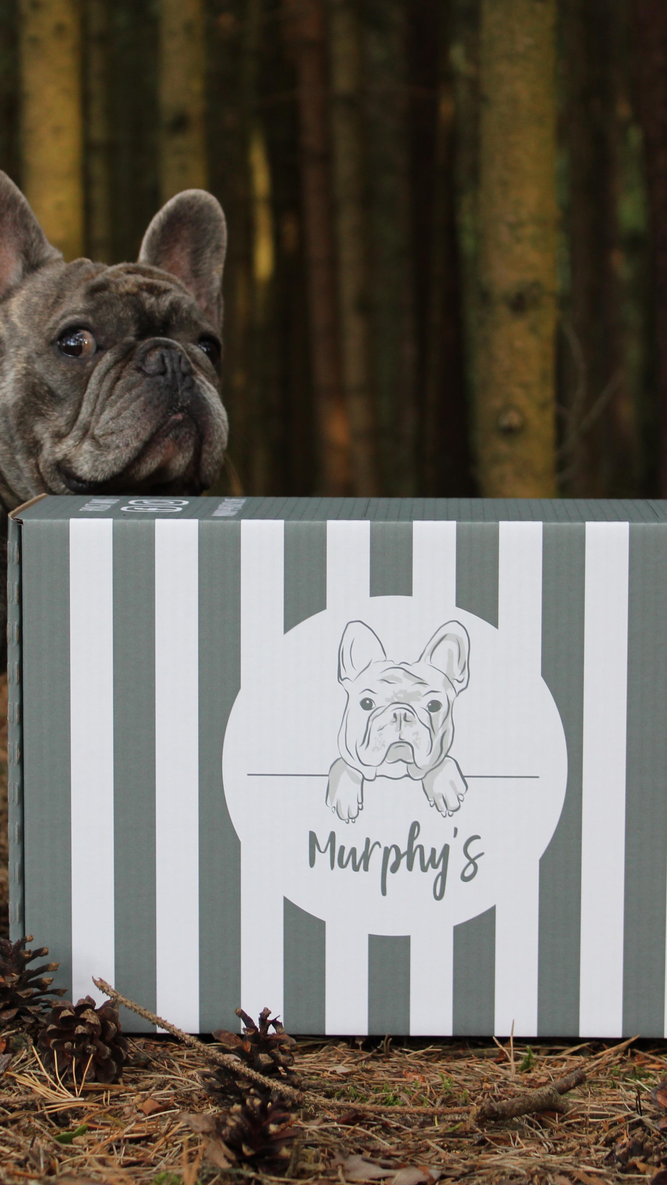 #peekaboo 👀
—————————————————————
www.murphysbox.de
—————————————————————
⠀⠀⠀⠀⠀⠀⠀⠀⠀⠀⠀⠀⠀⠀⠀⠀⠀
#organicdogstore #happydog #smallbusiness #love #hundeliebe #hundeglück #hundeladen #hundegeschenk #doglover #hundemama #hundemensch #dogstore #organic #dogtreats #nurdasbeste #dogs #ilovemydog #überraschungsbox #hundegeschenk #meinkleinerladen
