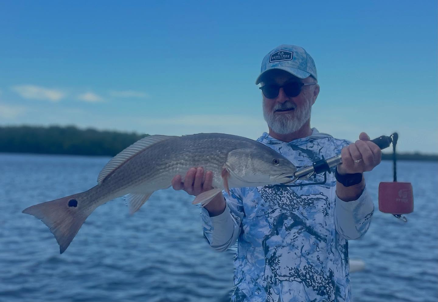 Tommy with a bruiser #redfish he caught aboard recently. We fished for two days, and boated several bruisers, with a few over slot fish 💪🏻 A few open dates remain in July, call me to book 📲305-778-5342 #a2fishingcharters #irtreels #cajuncustomrods #donnmarpliers #reelfishyapparel #tfoflyrods #donnmarpliers #reelfishyapparel #fourhorsementackle #captainspreferredprodcuts #fortressmarineanchorsusa
