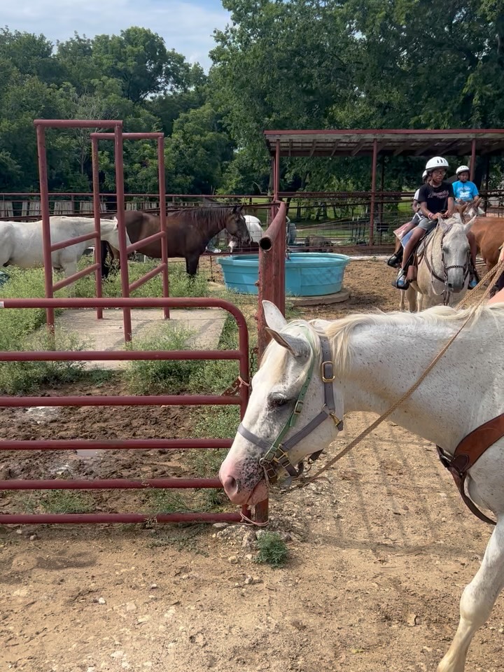 ☀️We ❤️ Camp Activities!!! #LiveItOut #CH25 #campchangeslives