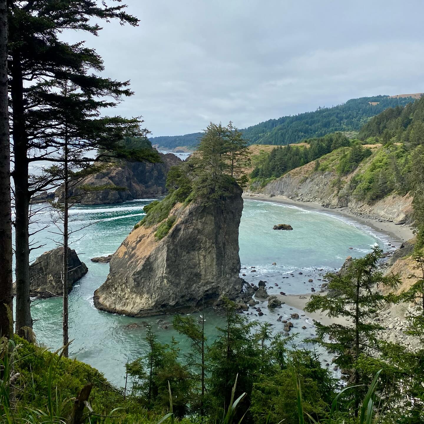 Last day in Oregon - California tomorrow! The fog didn’t burn off until later in the day, but a beautiful day regardless. So lucky to be doing this as a family with our 15 and 17 year olds!
#oregon #oregoncoast #oregoncoastbikeroute #bikepacking #biketouring #bikefamily
