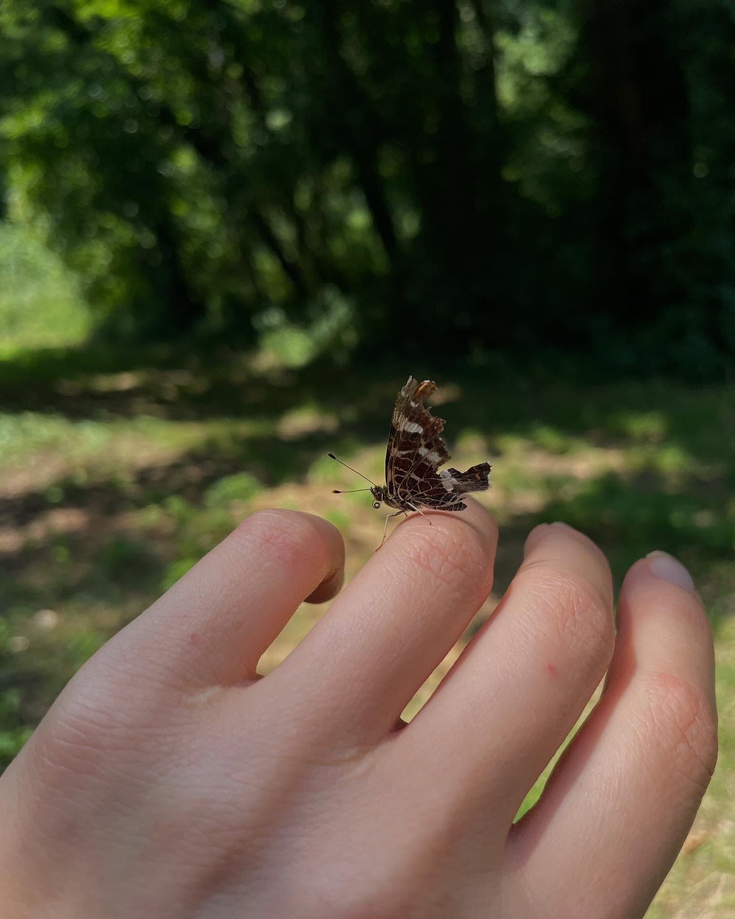 Hello beautiful. 💛