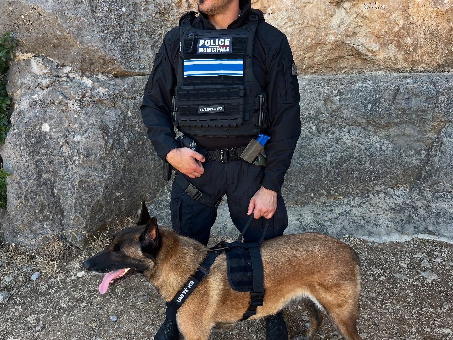 Sur le terrain, l’essentiel c’est la fiabilité.
Deux de nos harnais conçus pour les chiens de travail à l’épreuve du quotidien.
Harnais ESSENTIEL — notre nouveau modèle léger, robuste et fonctionnel, pensé pour les besoins des unités opérationnelles.
Harnais TITAN — notre modèle emblématique, alliant maintien optimal, confort et durabilité extrême.
➡️ Le harnais ESSENTIEL arrive bientôt.
Restez connectés.
#k9 #k9unit #k9training #k9dogs