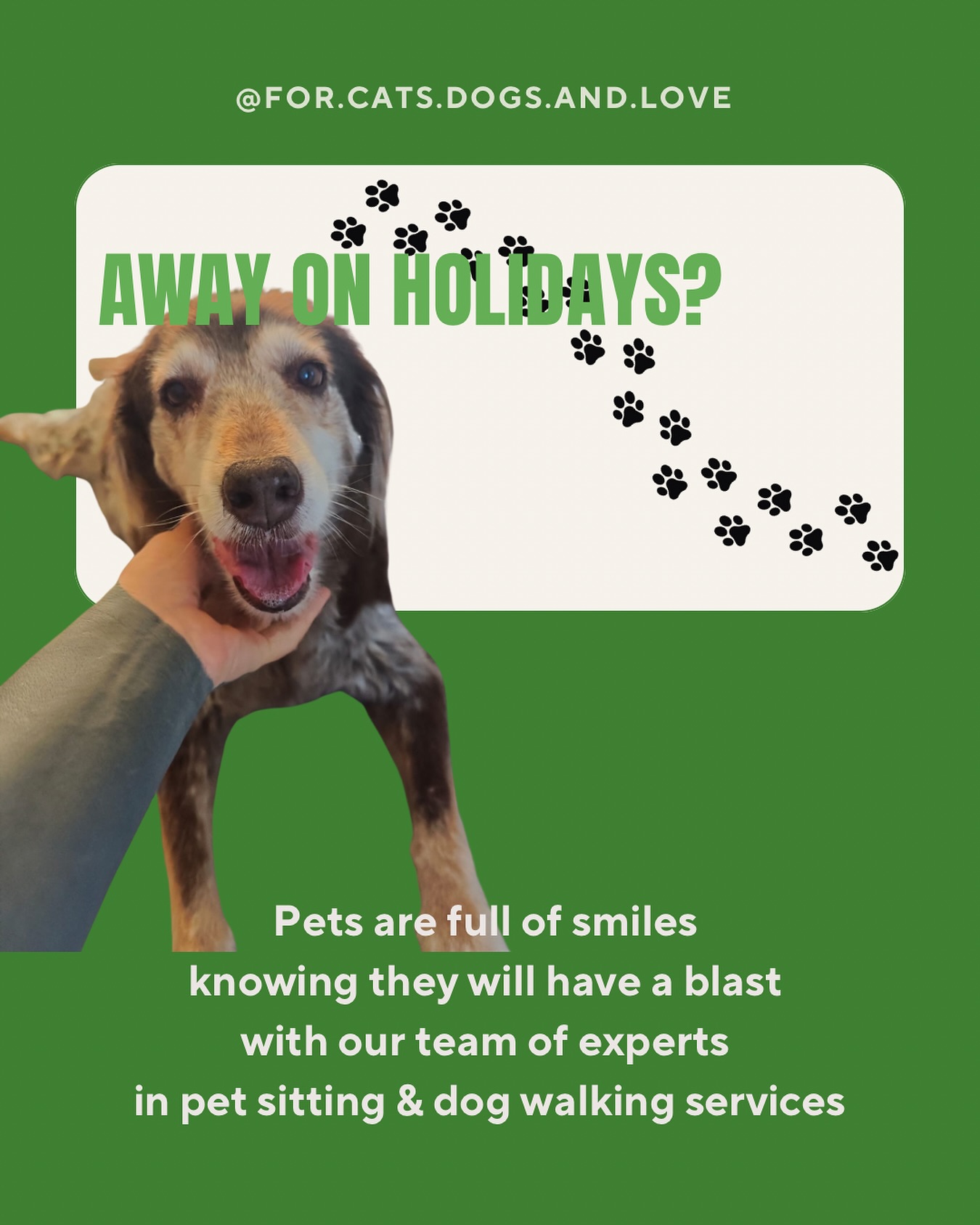 Pet sitting and dog walking is sorted for when you’re away! Our team of trained professionals is here to provide your pets with the outmost of care, just as they deserve 🧡🐾😻