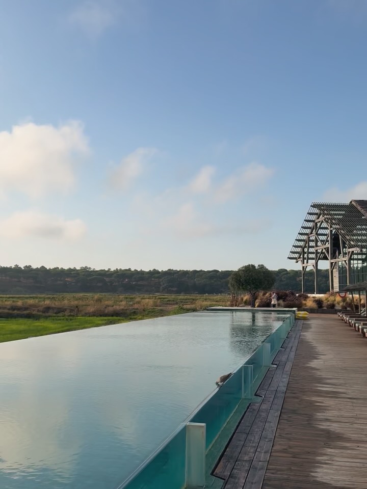 🌼🐝 Counting my blessings!
Rice fields, stork nests, hypnotic cork tree groves, birdwatching, endless beaches, dolphins, golden sunsets, good food, beautiful design, charming gardens, “Great Gatsby w/a view” — and the best company throughout: @giorgiopiccoli