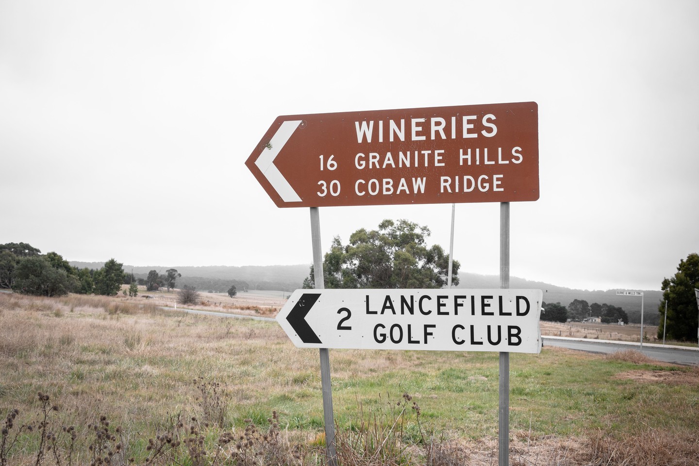 Granite Hills Vineyard invites you to discover the timeless beauty of cool-climate winemaking. With over half a century of crafting classic wines, our estate promises a journey filled with award-winning vintages that truly express the essence of our region.
.
.
.
.
.
#macedonrangeswine #visitmacedonranges #macedonrangesnaturallycool #visitvictoria #daylesfordmacedonrangestourism #daylesfordmacedonranges #daylesfordmacedonlife #lancefield #cobaw #explorevictoria #countryvictoria #macedonranges #granitehills #granitehillswinery #victorianwine #wineaustralia #macedonrangeswinery