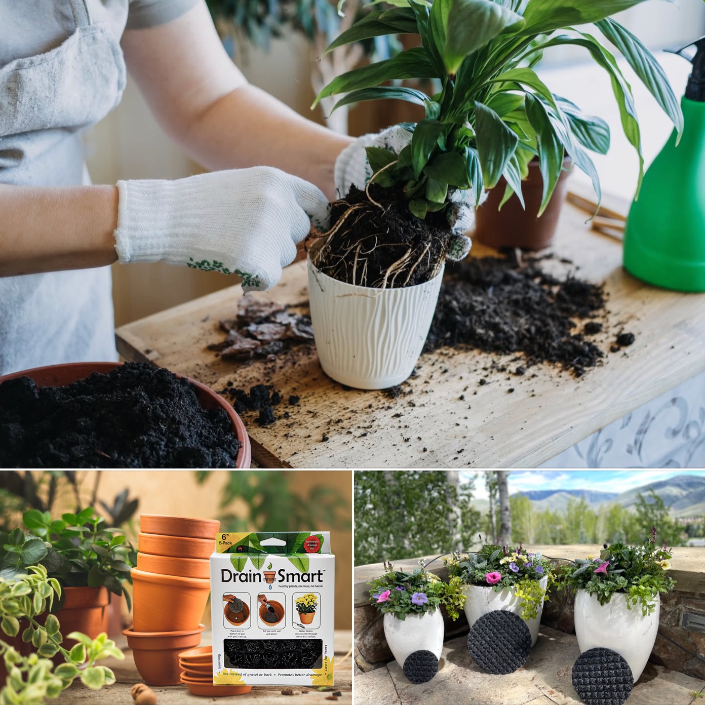 It’s Prime Time to #PlantSmarter! Drain Smart discs are 10% OFF during Amazon Prime Days – July 8–9!
Ditch the messy rocks and help your plants thrive with smart, even drainage that keeps roots healthy and happy — indoors and out.
• Better drainage
• Protect from root rot
• Reusable & easy to use
• Three sizes: 6", 9", 12" discs
Grab your discs now while they’re on deal!
👉 drainsmartusa.com and Amazon
#DrainSmart #AmazonPrimeDays #HealthyPlants #ContainerGardening #PlantCare #PrimeDayDeals #SmartDrainage #happyroots