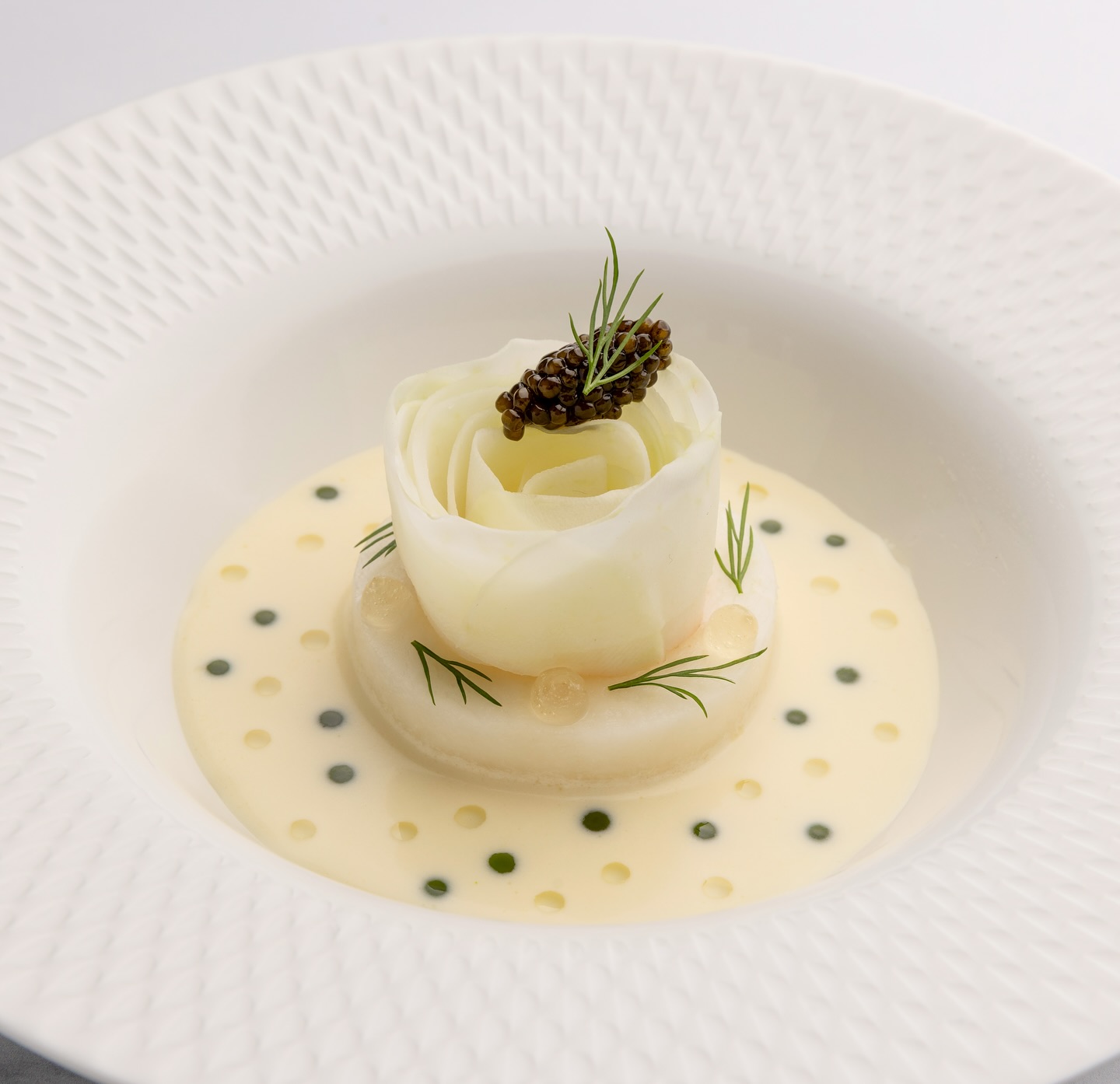 Tomate. Kohlrabi. Dill.
📸 @pixelcoma @pixelcoma_foodphotography
#foodshot #culinaryarts #finedining