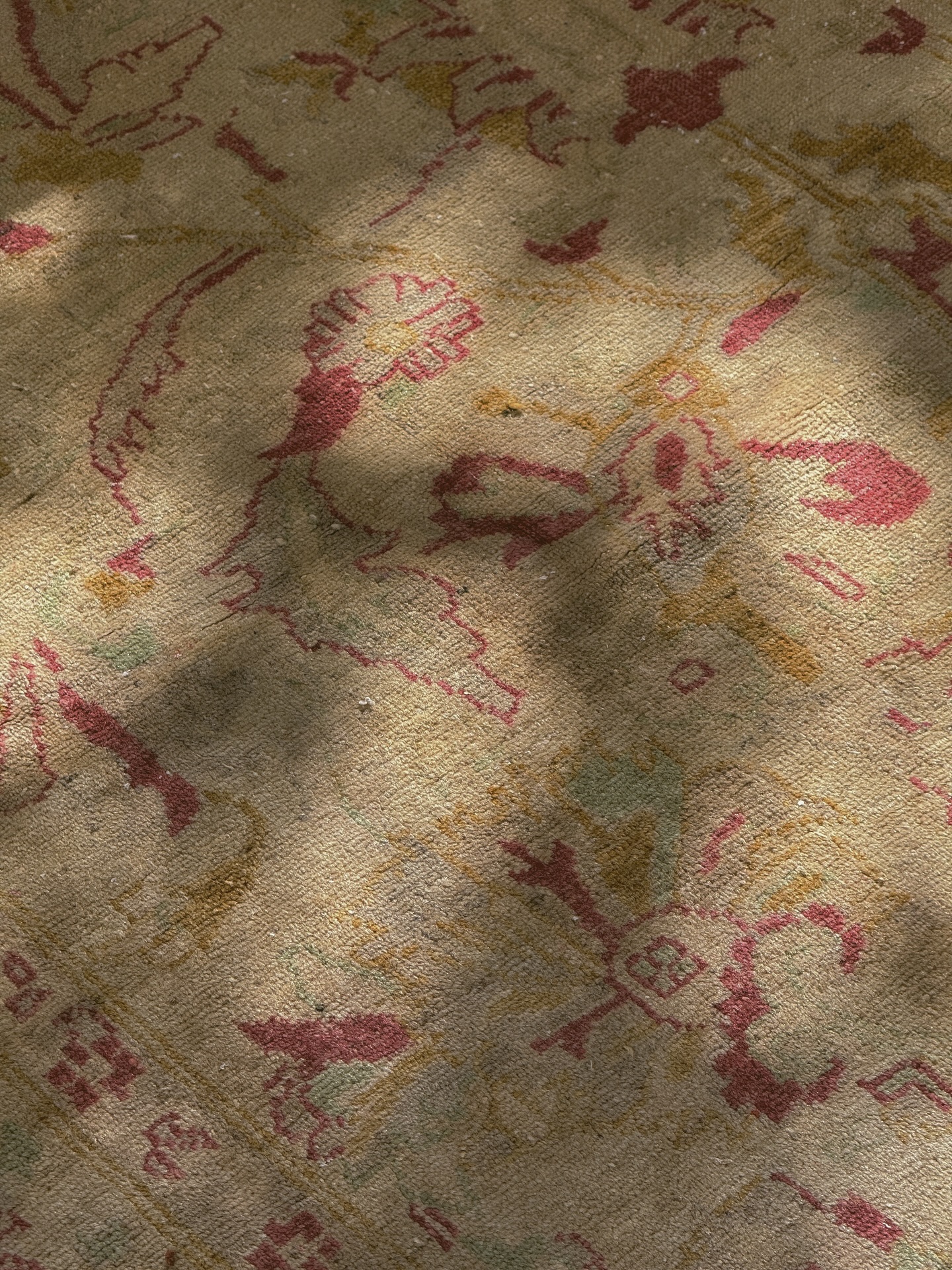 A very detailed photo