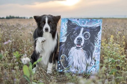 Roos z Bengasu alias Thorýsek 💙 srdcem pes, hlavou sportovec a duší parťák do všeho 🐾
Thoreymu by každý kynolog mohl říkat “mistr obranných manévru”, má víc titulů než kdejaký politik a víc disciplíny než většina lidí po novoročním předsevzetí 😀😇
ZZO, ZZO1, BH-VT, ZM, SPr1, IBGH1,.. to není chybový kód, to je část výčtu zkoušek, které složil jako král.
Pokud nemáš koho sledovat a zajímá tě, jak vypadá bordera na úrovni, sleduj Thorýska 💙
#dogart #dogportrait #dogportraits #dogpower #dogpost #dogdigitalinfluencer #doginfluencer #doginfluencers #bordercollielover #borderkolie #borderkolie🐶 #borderkoliecz #borderkólia #borderkolia #borderka #borderky