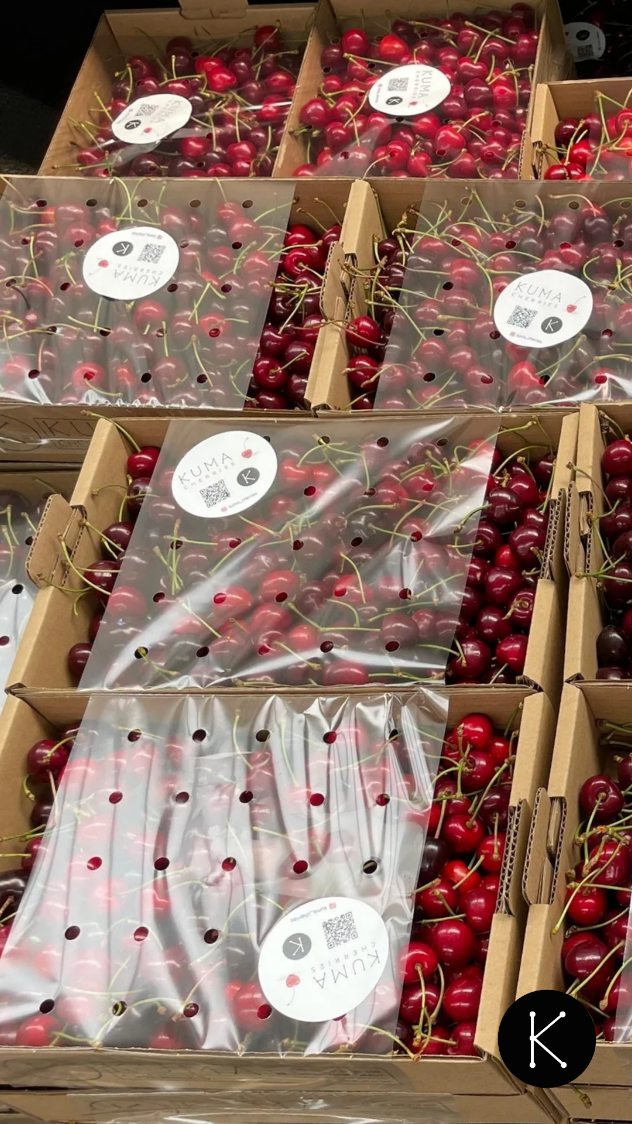 ¡Ya están en las tiendas nuestras cajas Kuma Cupido!
Queremos darte las gracias 😊
Si encuentras alguna de ellas antes del domingo 13 de julio, escríbenos.
👋🏻 Te invitaremos a venir a ti y a un acompañante a nuestra Jornada de Puertas Abiertas.
⏰ Elige el horario que mejor te venga: de 16:00 a 18:00 h o de 18:00 a 20:00 h.
🍒 Si traes tu caja Kuma Cupido, podrás llevártela llena de cerezas gratis (2 kg).
Así de fácil.
#KumaCherries #Allande #Linares #kumacupido #asturias #productosdeasturias #productores #zreizas #agricultura #AgriculturaConPasión