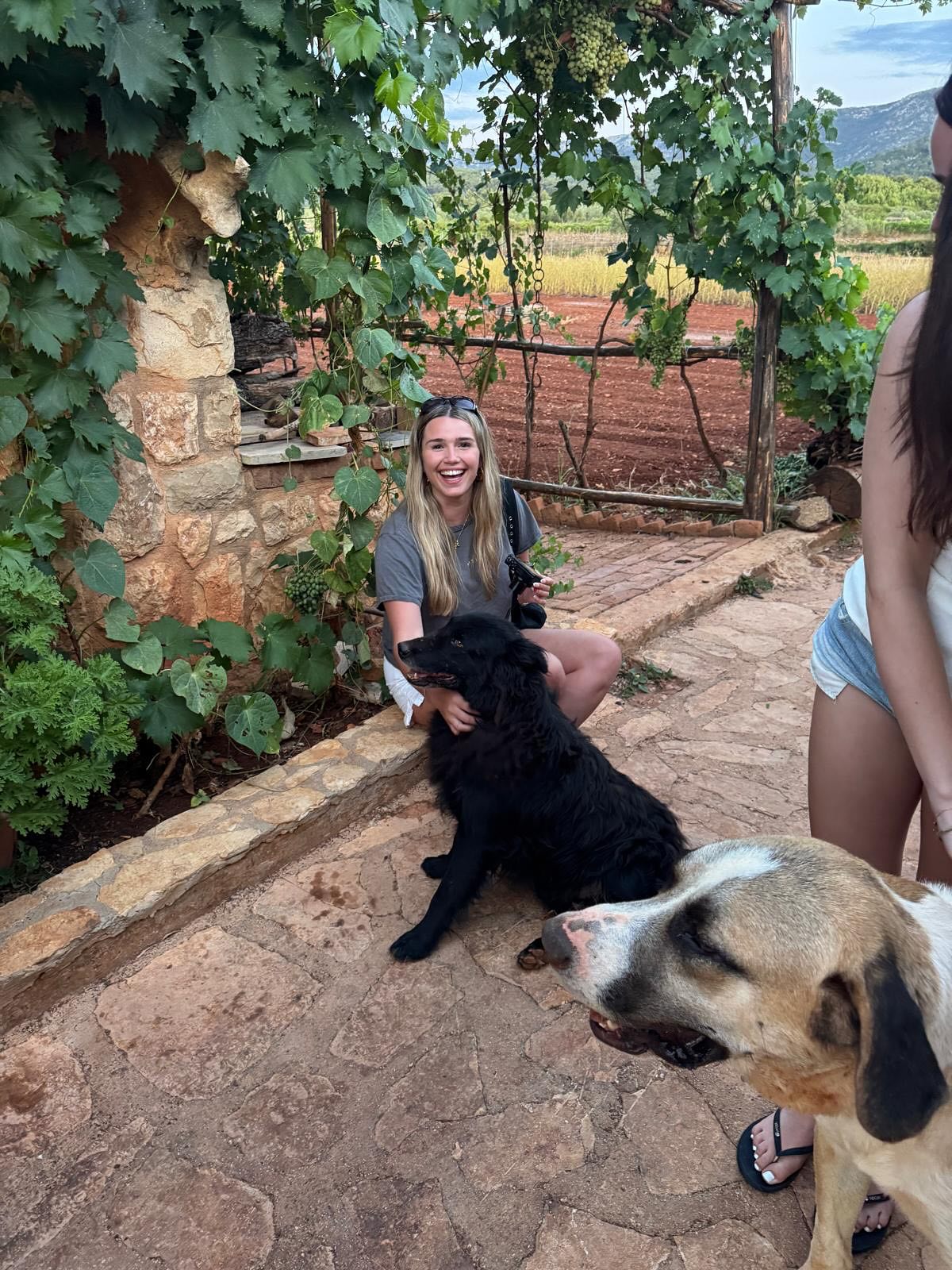 Horsing around at Hora Farm 🍇🍷🫒🌞