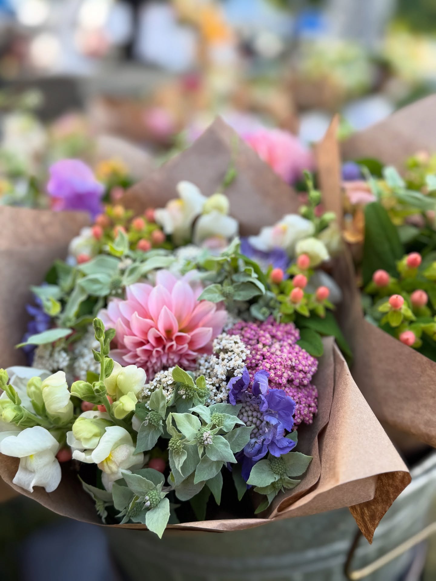 We’re back at the @provofarmersmarket and excited to have dahlias again this week! We’d love to see you!
#provo #utahflowerfarm #marketflowers #utahgrown #localflowers #makeutahbloom