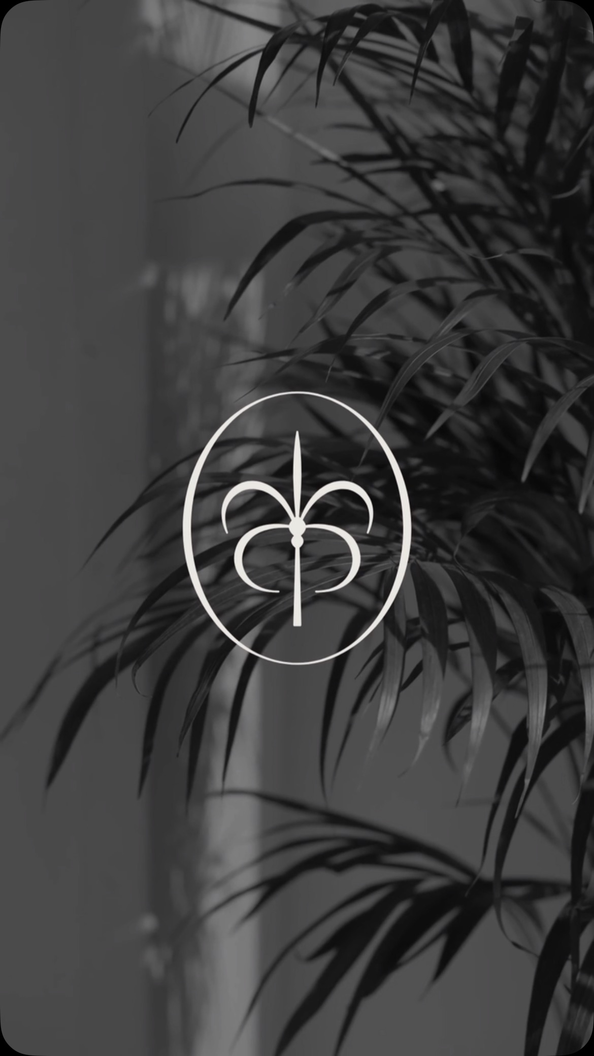 2/3 Palmae Twenty Eight - A creative house rooted in culture, strategy and purpose. Building bold, lasting brands through intentional design and communication.
The branding and website were crafred to reflect clarity, refinement and cultural relevance. Anchored by the cutsom palm tree icon shaped from the letter P to embody the brands name and roots.
#websitedesign #brandingdesign #logodesign #luxurybranding