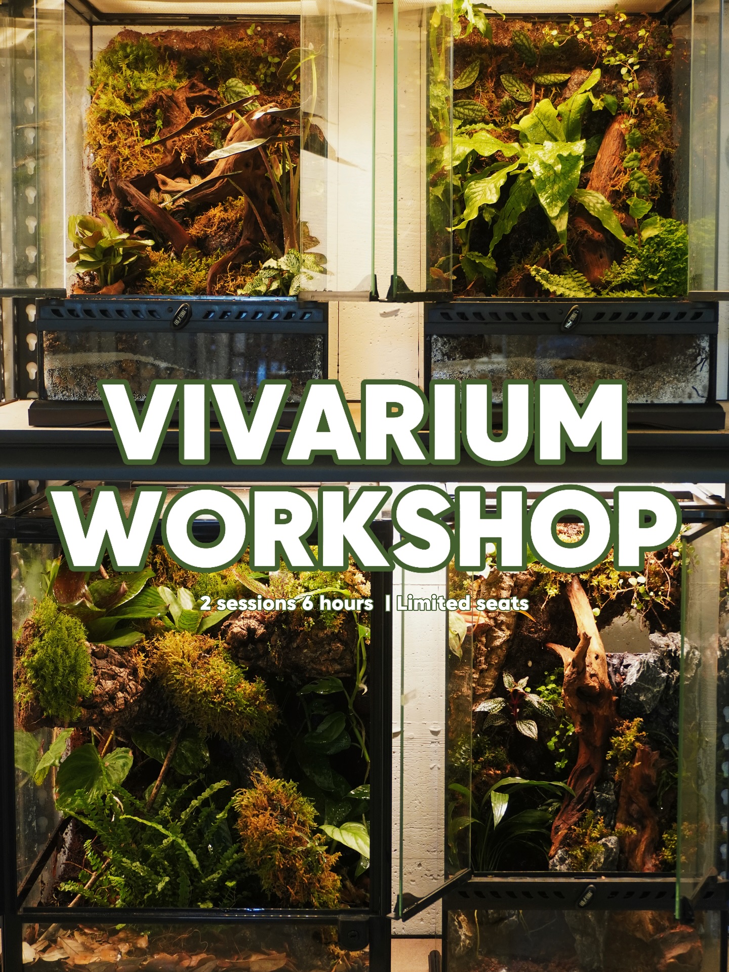 We’re excited to finally offer our Vivarium Workshop!
Two sessions to learn and build your own living ecosystem.
Spots are limited- visit our website for more info.
#plantworkshop #plantlovers #vivariumplants #vivariums #vancouverevents #vancouverfun