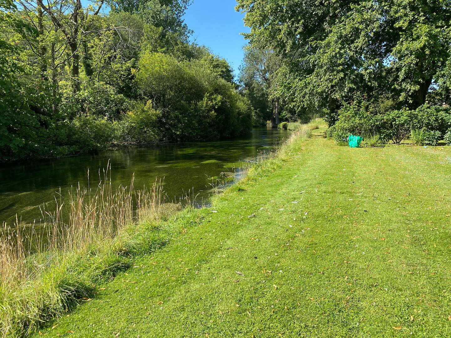 Lovely to work by a beautiful chalk stream today!! Water levels looking reasonable still, despite the over abstraction that goes on in Hampshire - luckily the wet winter really filled aquifers otherwise it might be a different story! #gardencare #riverside #merlinlawmcare