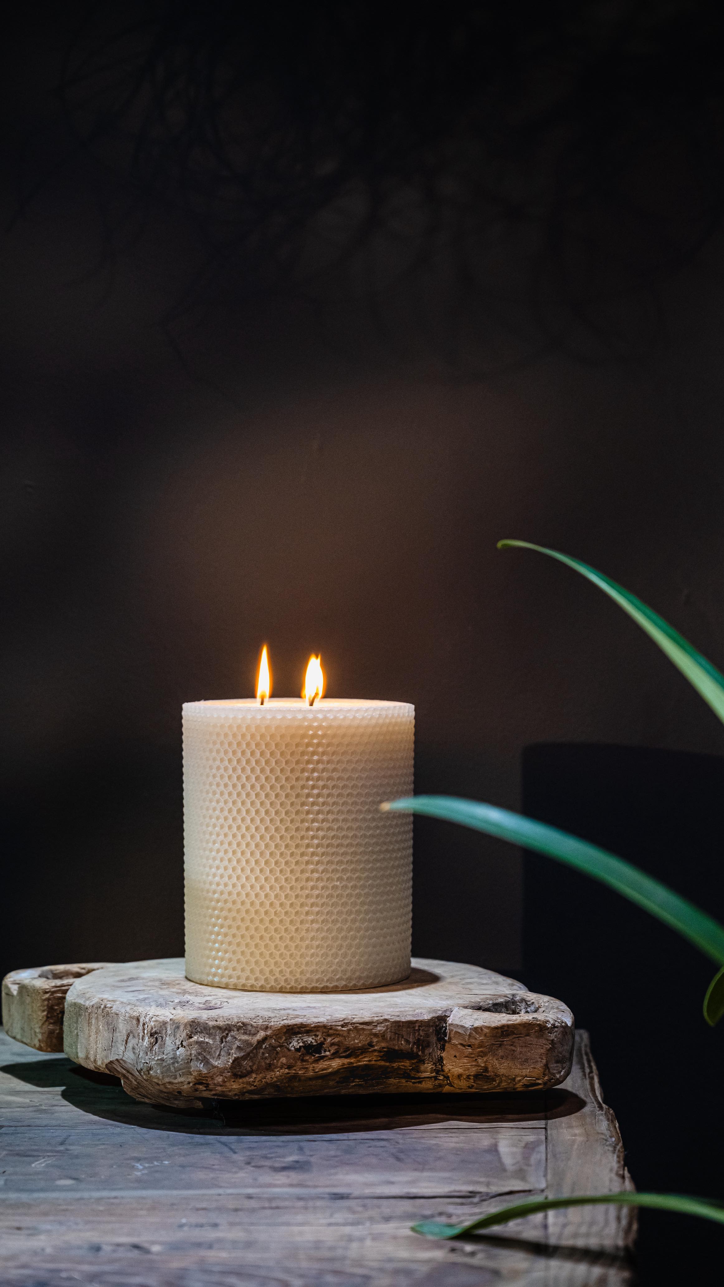 Really though, we love partnering with businesses to showcase the beauty of who they are and what they do. 🤍🖤
See anything you can’t live without? Head over to @tannershg!
#brandphotographer #smallbusinesssupportingsmallbusiness #saintsimonsisland #goldenisles #shoplocal