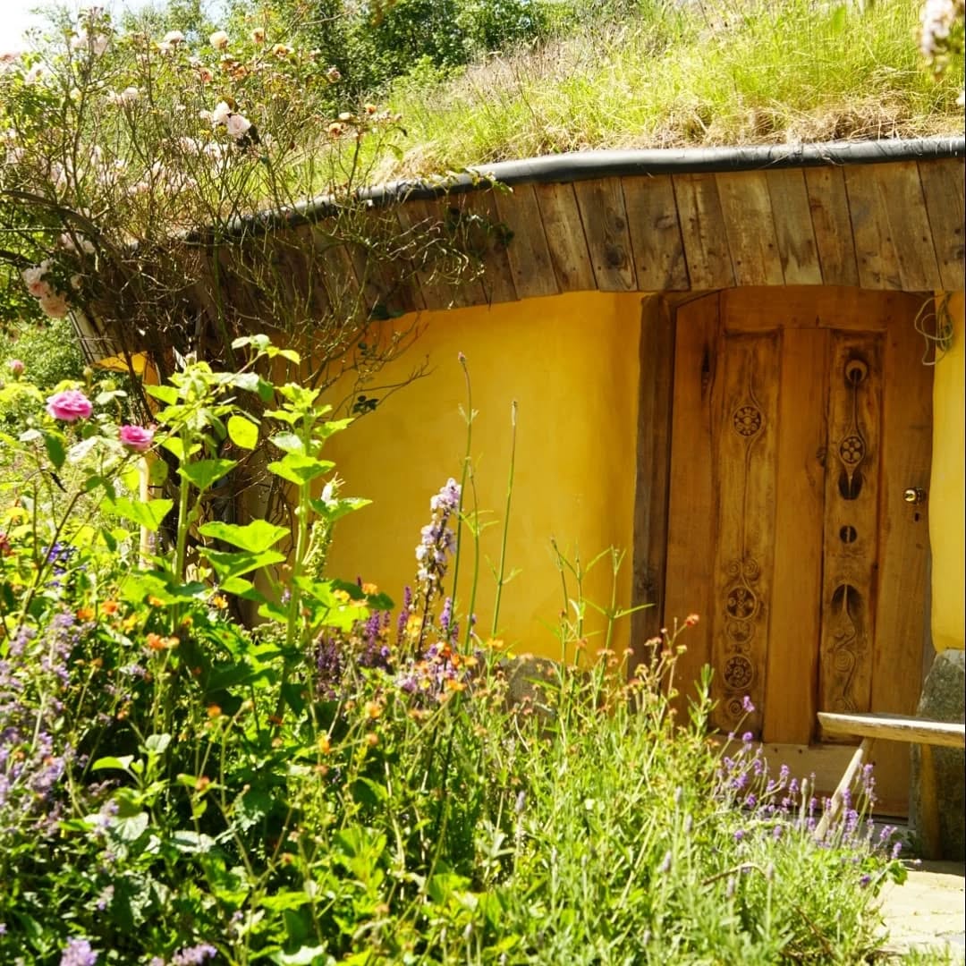 Lots of spaces to sit and be whilst getting to enjoy nature in all its summer beauty and harmonious busyness !
...
Llawer o lefydd i eistedd a bod tra'n mwynhau yr holl sydd gen natur yr haf i'w gynnig ~ ei harddwch a'i phrysurdeb!