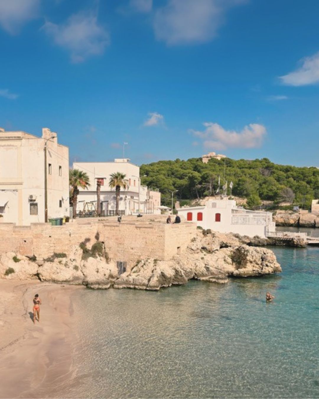 Our multi-day e-bike tour through Salento is a curated 4-day immersion into the soul of southern Puglia — slow, rich, and full of meaning.
From sun-drenched coastlines to quiet villages hidden inland, this experience connects you to every layer of the region:
🏛 Architectural gems and faded baroque facades
🧵 Artisan workshops where time still moves by hand
🍷 Local wines, ancient olive oil mills, and meals that tell stories
🌾 Countryside roads lined with wildflowers and stone
🌊 Crystalline beaches where the air smells of salt and silence
And in between it all — the people.
The ones who wave from their doorways, who share a story, a pastry, a memory.
They’re not part of the tour.
They are the tour.
All tours come with premium e-bikes, and English-speaking local guide,
📍 Book your multi-day escape and discover a Salento that stays with you. Check our website for more info.
#pugliabikeexperience #leccebiketour #pugliabikerental #cyclinginpuglia #publiabiketours #hikingpuglia #luxurytravelitaly #leccebikerental #slowtravelpuglia #pugliahikingtour #pugliabiketour #pugliaadventures