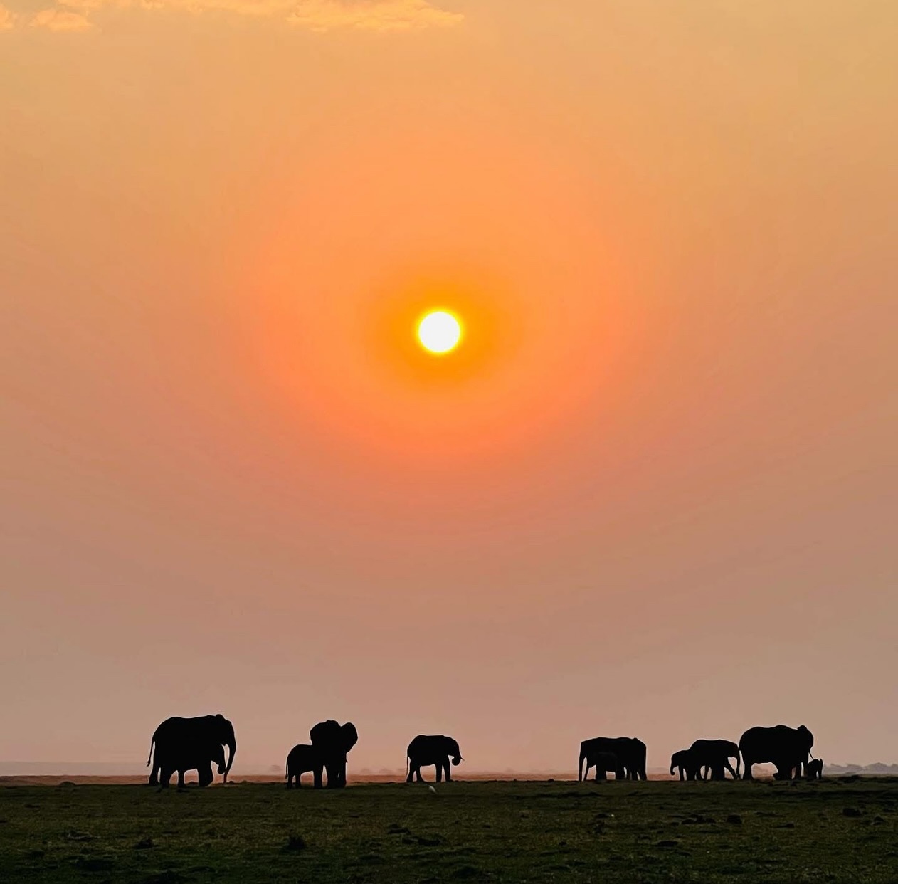 Only 90 days until the start of this years The Grand Tour!
setting off on a 5800km journey from Cape Town, South Africa to Victoria Falls, Zimbabwe and back again!
The group will
marvel at the vibrant atmosphere of Cape Town 💃endure the harsh conditions of the Namib desert 🏜️
cross the Kalahari 🐪
tackle the Caprivi Strip 🚧
encounter Wild elephants girafffe etc feet from their motorcycles 🐘🦁🦒🏍️
and that’s only in the first week!
Can you tell we’re excited about this tour too? 😂
Be sure to follow us on Facebook, Instagram etc for all the tour updates.
www.africanmotoadventures.com
#ridethewild
#africa
#africanmotoadventures
#safari
#motorcycleadventuretours