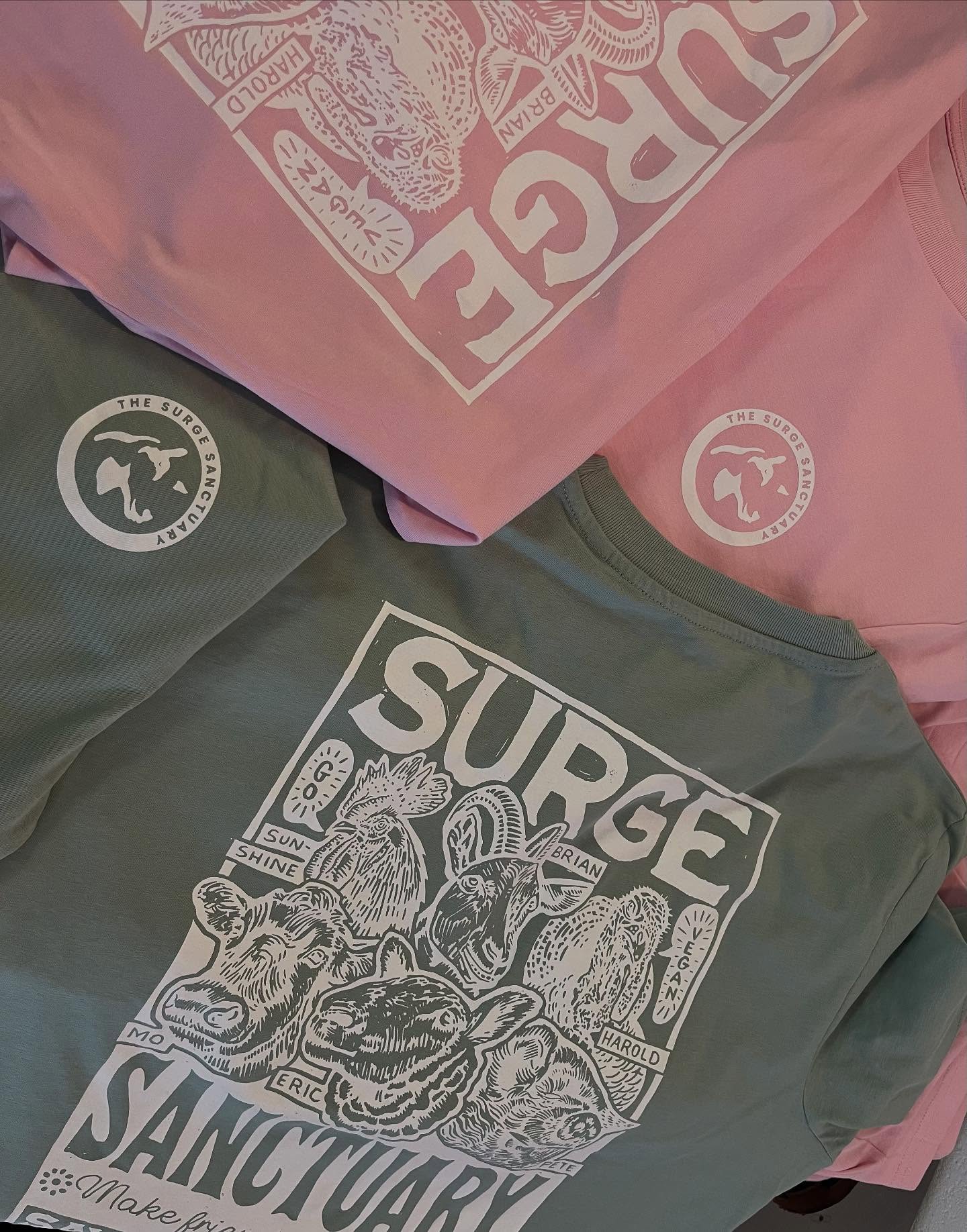 Nice shirts printed for The Surge Sanctuary… Vegan inks, Ethical shirts and screen printed using arm power!! Both doing our bit for the planet…
#ethicalscreenprinting #vegan #thesurgesanctuary #welovetoprint #localbusiness #nottingham #femaleowned
