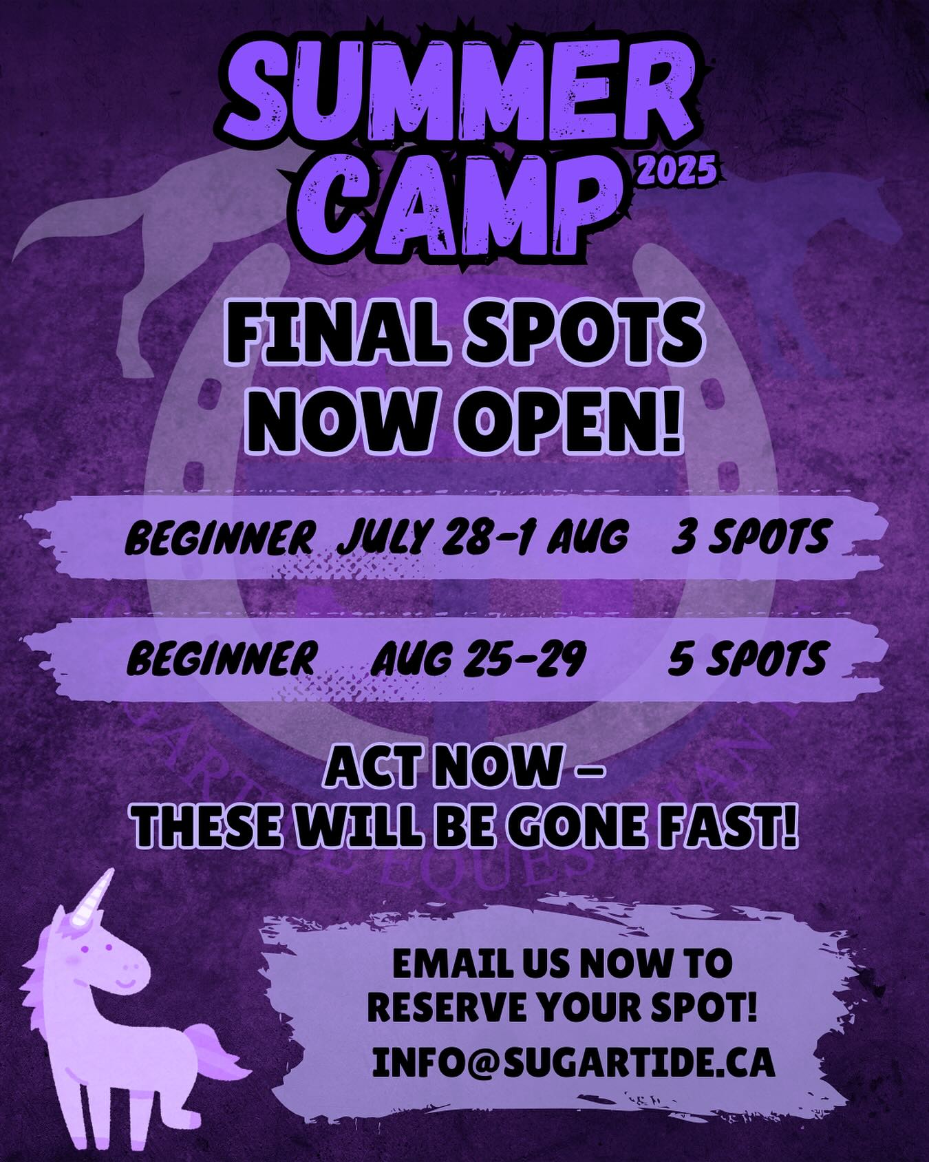 Last-Minute Openings Just Dropped
Our most popular beginner camps are almost full — but a few lucky riders can still join the fun.
Beginner Camp: July 28–August 1 — 3 spots
Beginner Camp: August 25–29 — 5 spots
Give your child a week of confidence, connection, and unforgettable horse time.
Email to reserve your spot: info@sugartide.ca
#SummerCamp2025 #HorseCamp #BeginnerRiders #sugartideequestrian