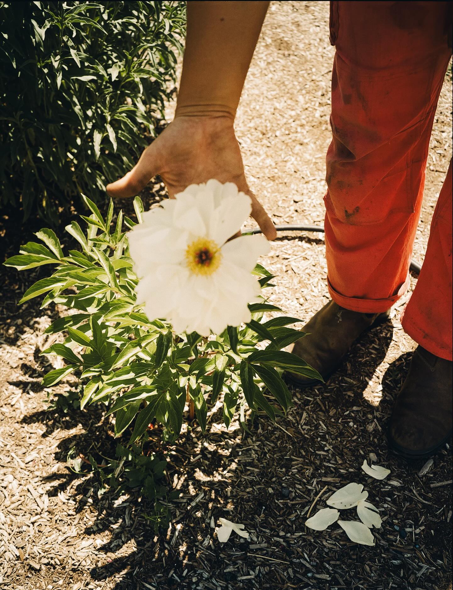 “Connection and community are as important as the spacing of carrots, pruning of tomatoes or the weeds that feel never ending.”
We look forward to exchanging laughs and stories with you on August 8th. Tickets in bio!
Film 📸 by: @sarah.bethphoto