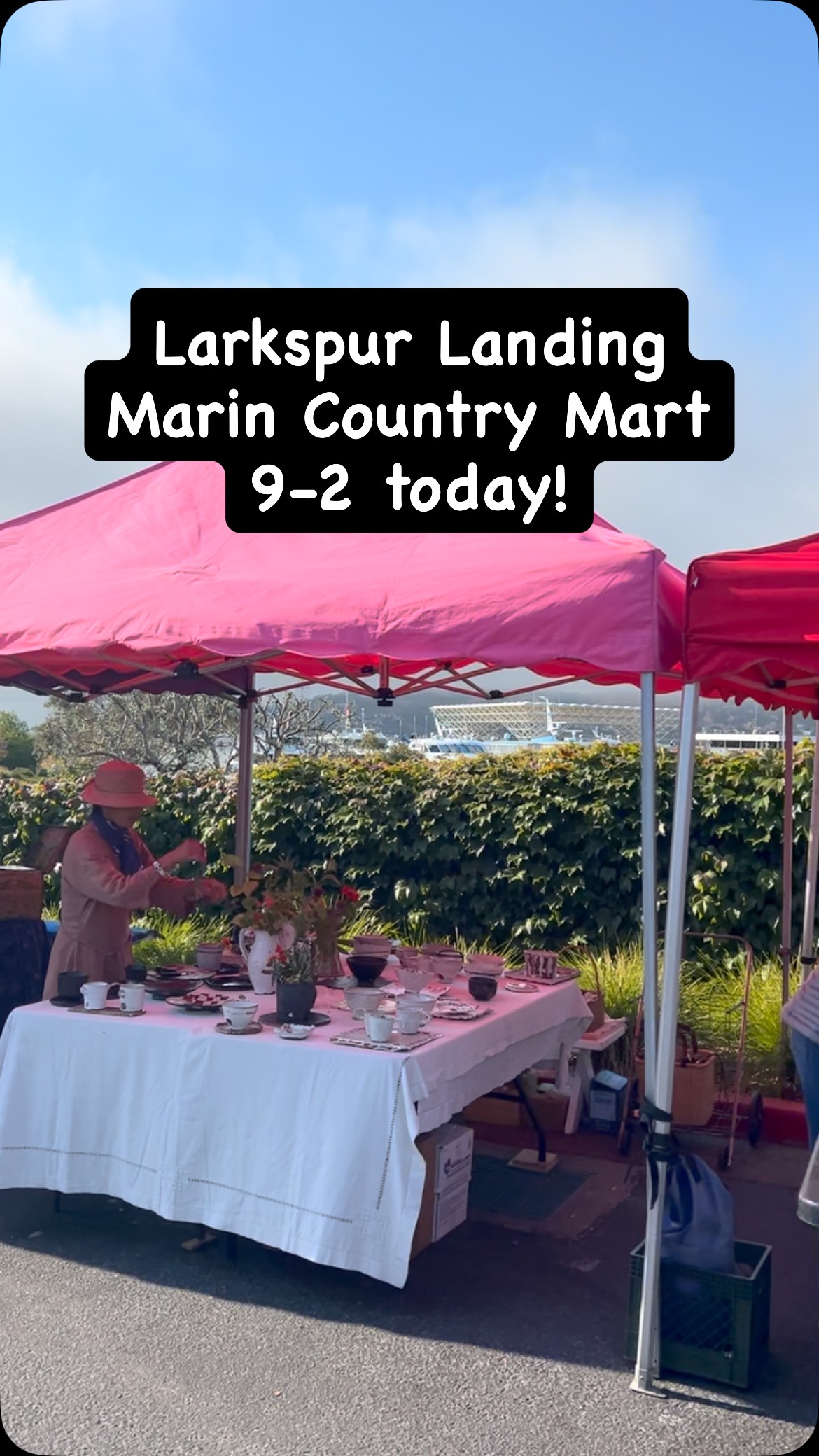 Dave and I are on the road again.
Today we’re at the beautiful Larkspur Landing Market. Right across from the ferry station. Nice sun, a little breeze, happy people.
Tomorrow will be in Petaluma for the Art and Garden show. We hope to see you while we’re in town.