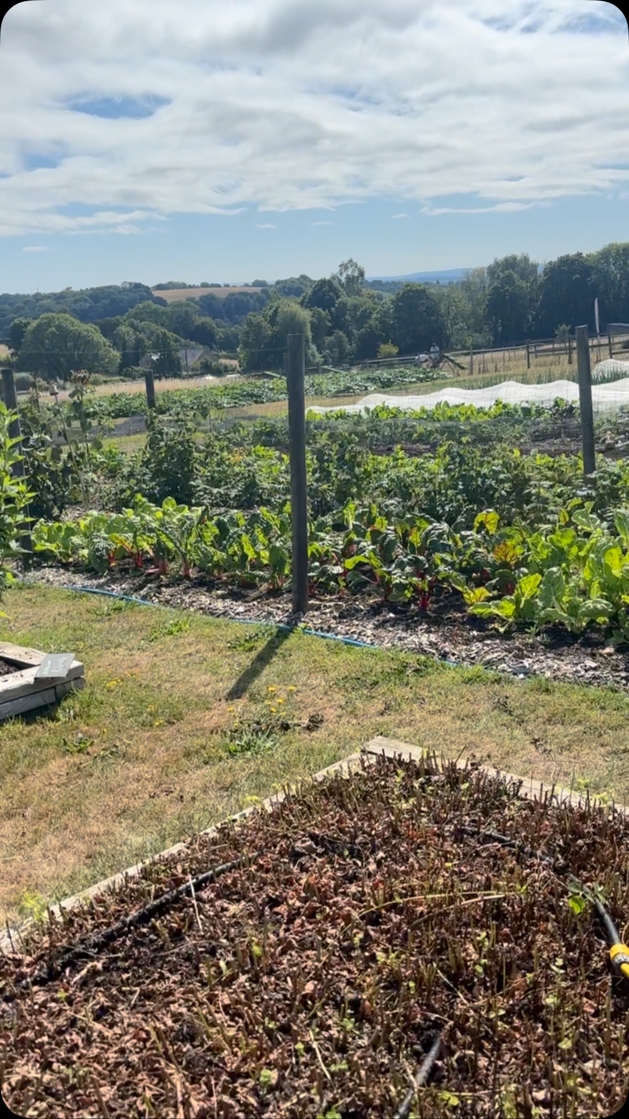 Join me on my favourite part of the week, cutting flowers grown @homewoodbath fabulous garden 💐