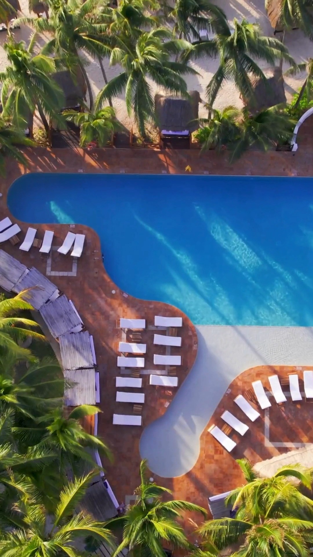 ✨ Descubre el paraíso en la Riviera Maya ✨
Déjate enamorar por la elegancia y el lujo frente al mar en El Dorado Seaside Palms y El Dorado Royale.
Ambientes solo para adultos, experiencias gourmet, spas de ensueño y playas que parecen sacadas de una postal.
Ideal para escapadas románticas, lunas de miel o simplemente para consentirte como mereces. 🌴💫
📍 Riviera Maya, México
📲 ¡Contactanos para planear tu viaje perfecto!
Tenemos promociones para las fechas del 17 al 20 de agosto, del 24 al 27 de agosto en ambos hoteles, 2 adultos.