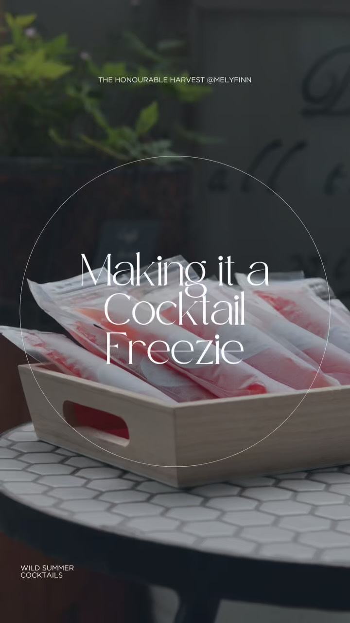 The seasonally delicious recipe everyone needs freezie in their life. With this recipe you can make it sober and delicious or make it a boozy treat.
This has been an awesome treat to have in my freezer when I feel like cooling down. Either booze free or enjoying one with some spirits, it’s the perfect summer indulgence. How are you going to make yours?
For The Base (Make Ahead)
Combine in a bowl:
* ½ a seedless watermelon, chopped
* Juice + skins of 3 limes
* 2–3 whole sprigs of mint
* ½ cup sugar
Muddle gently and pop it in the fridge overnight. Let those flavours hang.
Next day:
Remove lime + mint (for colour) and blitz the watermelon
Strain it through a fine sieve
Save a bit for non-alc freezies at this point if you want to!
Set aside 3½ cups for the cocktail batch.
Make it a cocktail Freezie
To your 3½ cups of base, add:
5 oz limoncello 🍋
2.5 oz Metaxa (or your fave spirit – vodka/rum works too)
2 oz simple syrup
¾ cup cold water
Taste and tweak for sweetness and acidity. Then pour into zip-top freezy sleeves or molds.
Freeze overnight and serve straight from the freezer, the alcohol makes them melt a bit faster. But rest assured, with a couple of ice packs they will make it to the park or a BBQ just fine.
*Note I purchased these ’compostable’ sleeves from Amazon, but they are suspiciously very plastic seeming… Compostable sleeves are still in the works, I just have about 150 of these to work through first haha.
#cocktailfreezie
#Summercocktails
#summerseasonal
#watermelonlime
#cocktails
#NonAlc
#thehonourableharvest
#wildbychoice
#curiousbynature