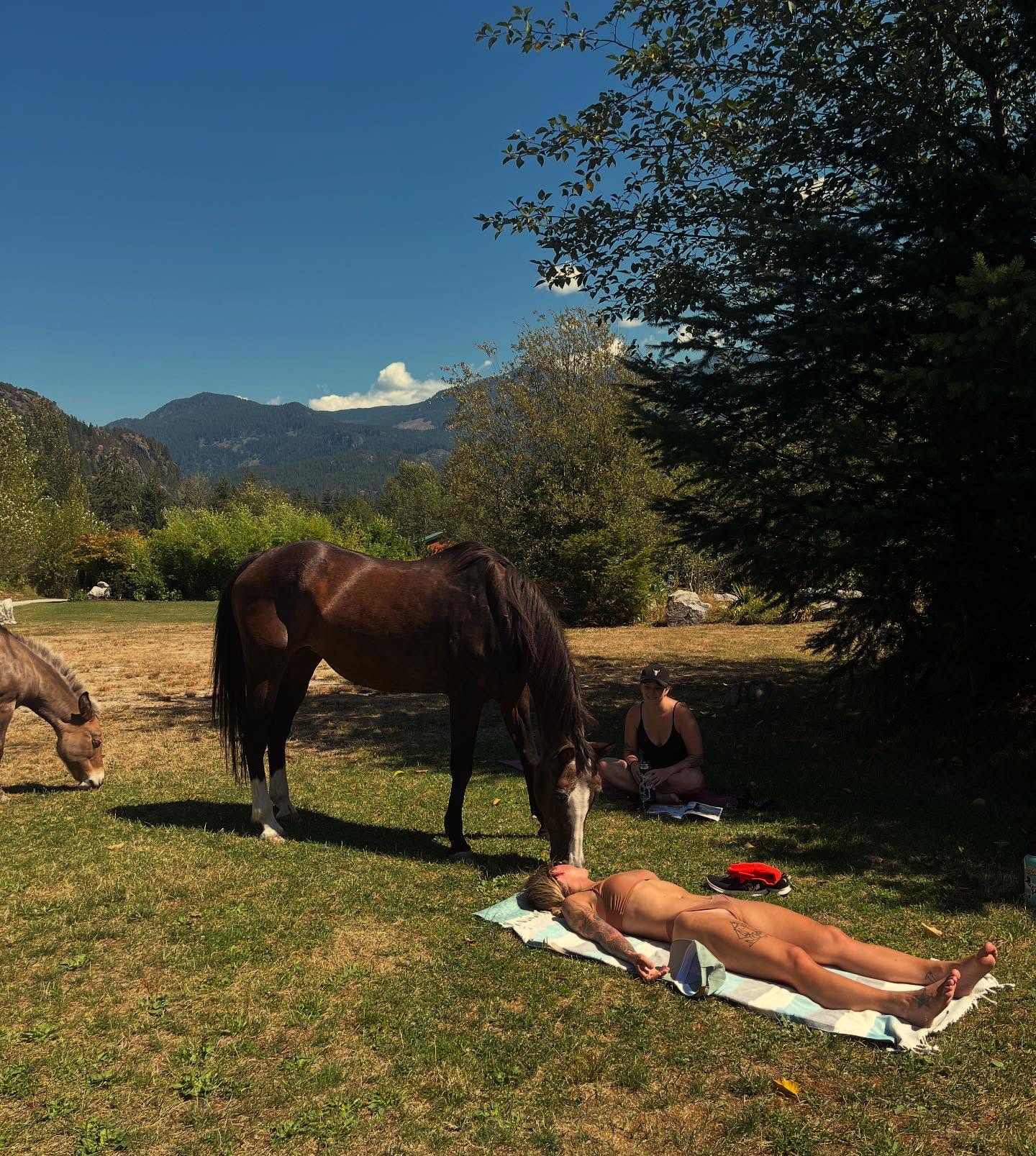 Dani got a surprise visit (and a kiss) from our friends at @secondchancecheekyeranch last year. Nothing like a little horse love to brighten up a sun-soaked day.